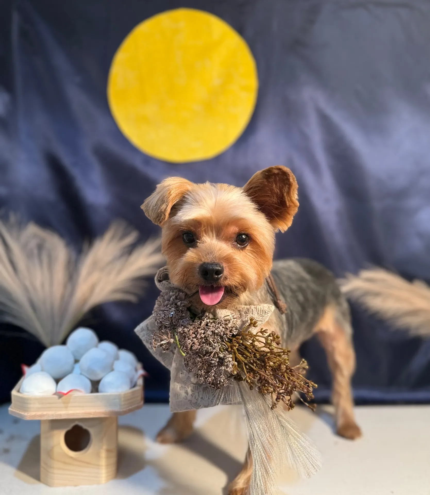 クンタロウくん