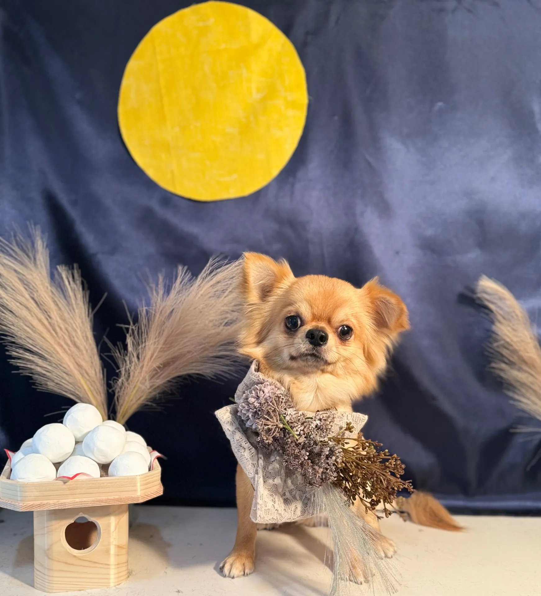 ウシカワマルくん