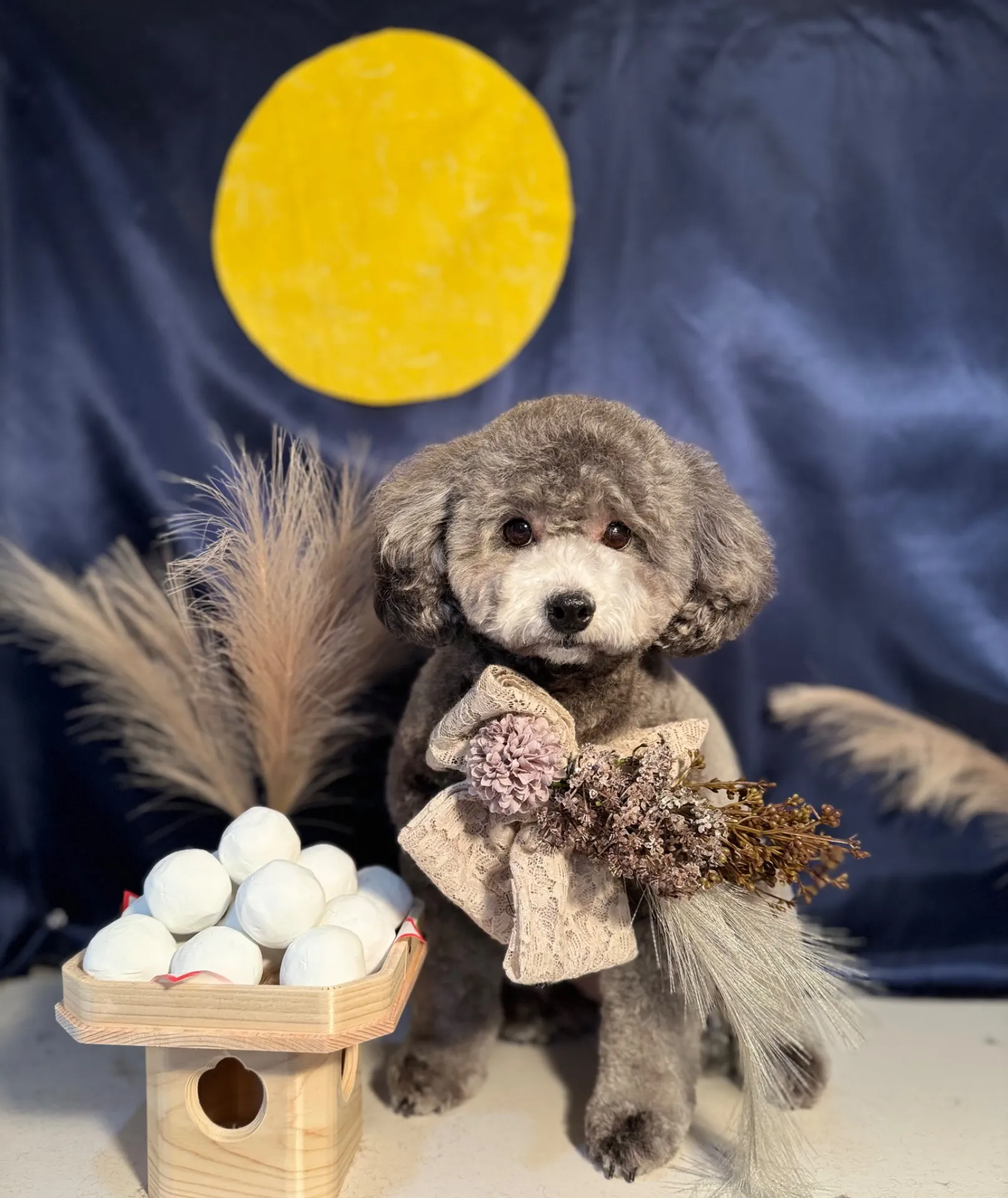 ギンナンちゃん