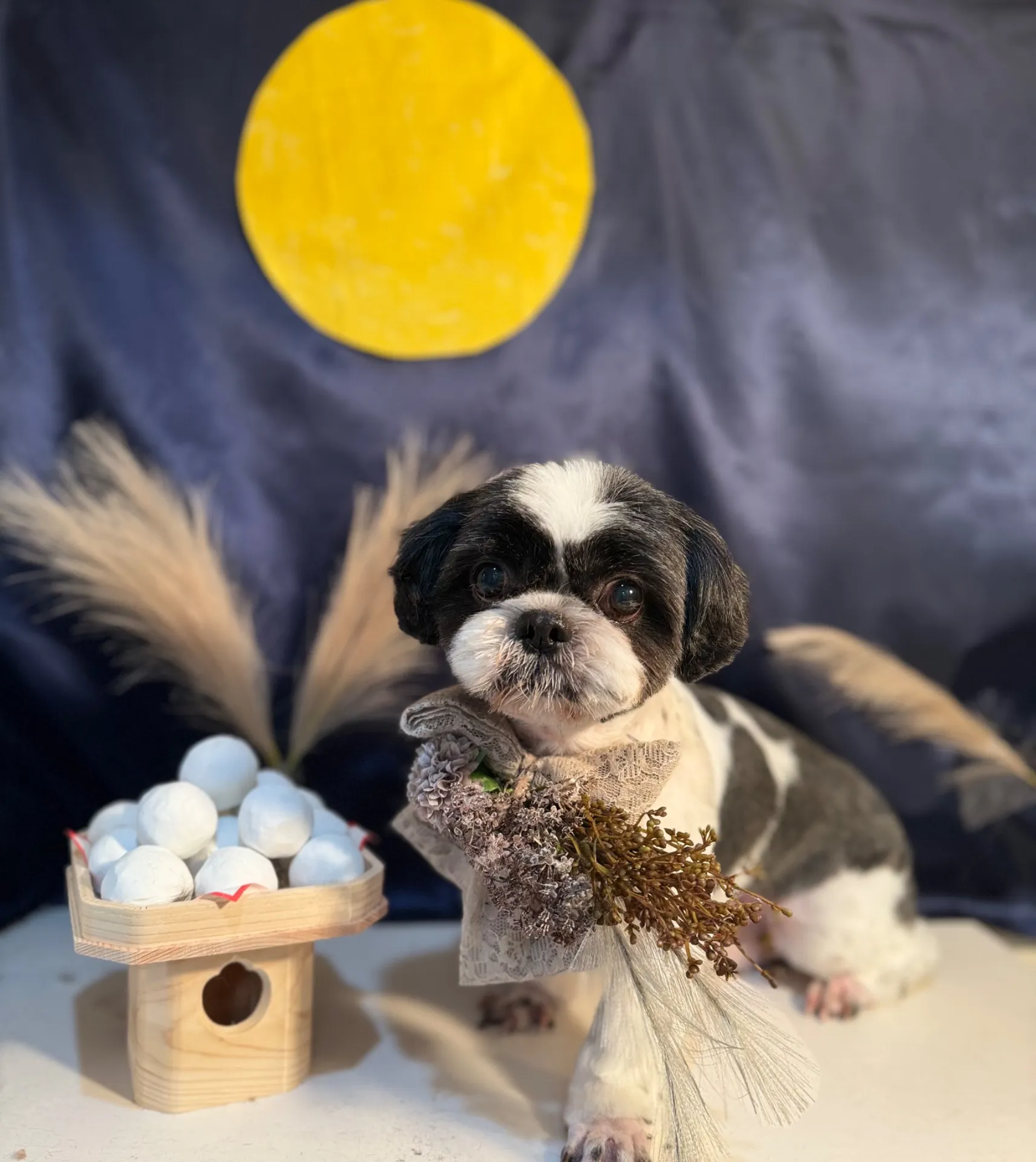 アイノスケくん