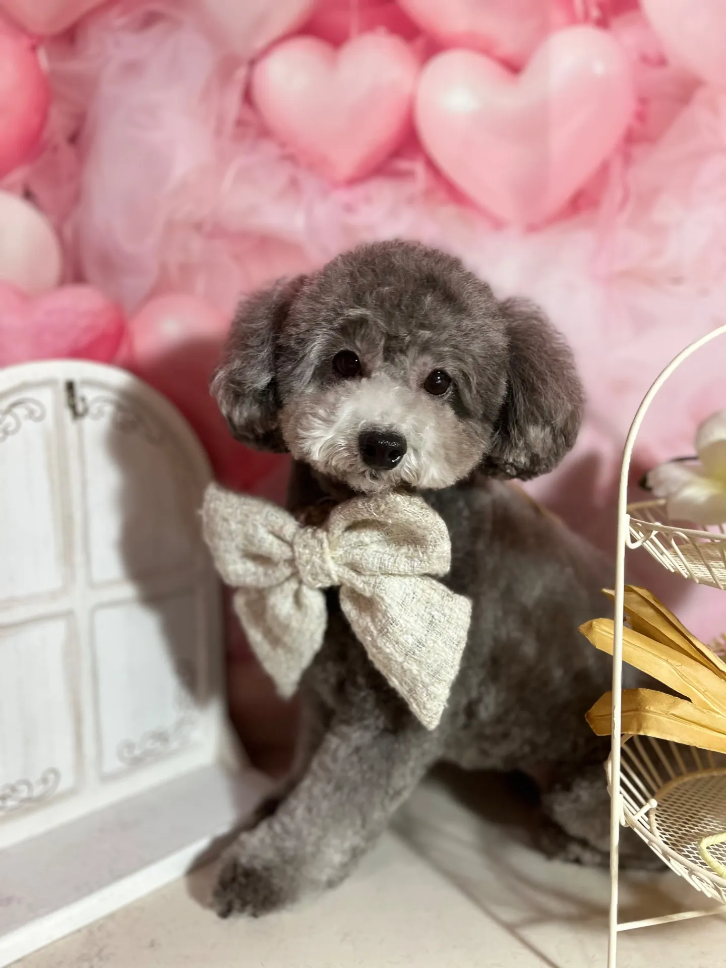 ギンナンちゃん