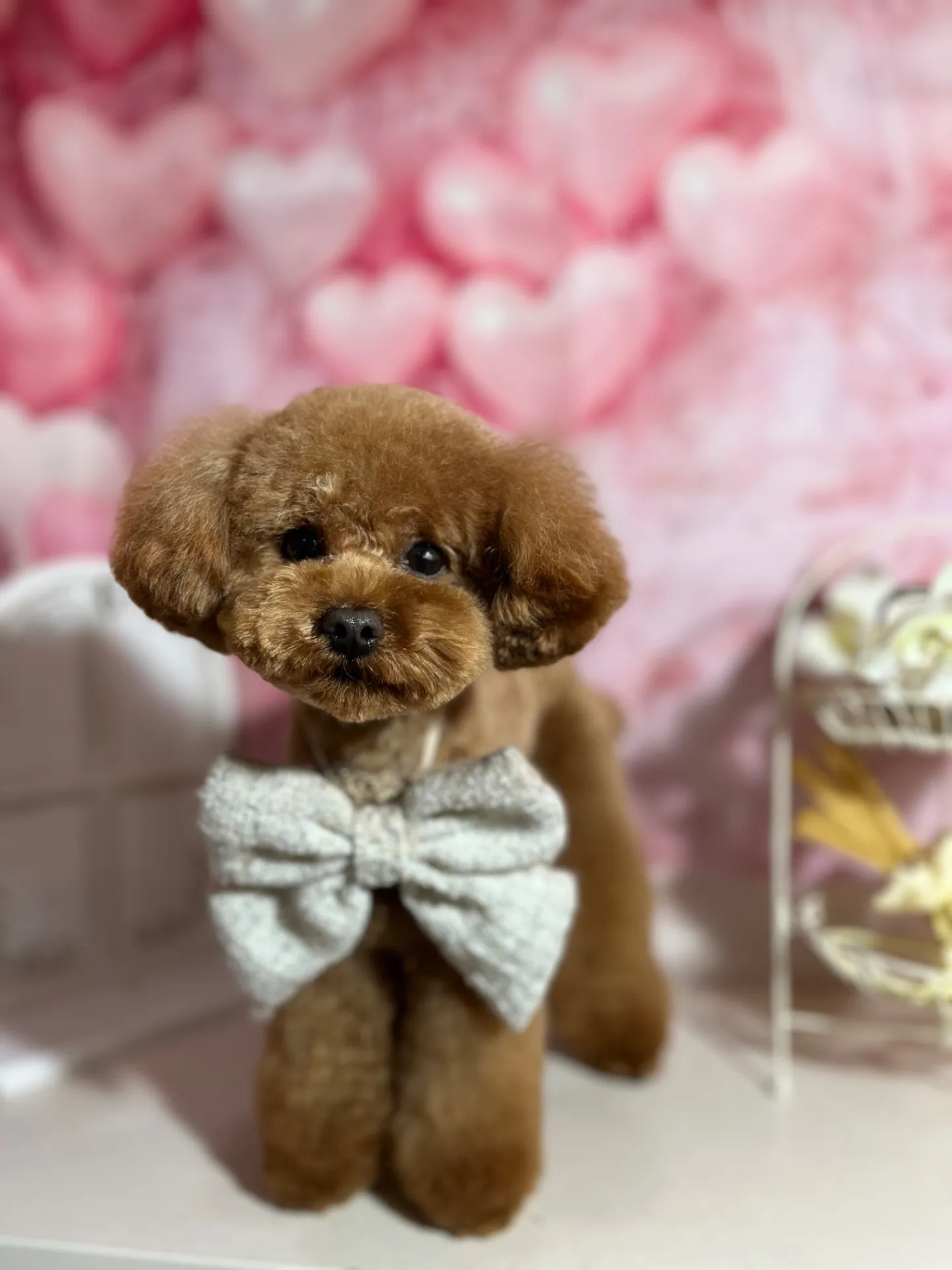 ちゃちゃまるくん