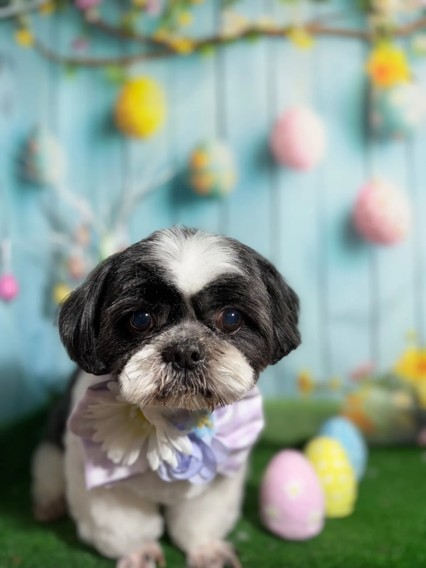 アイノスケくん