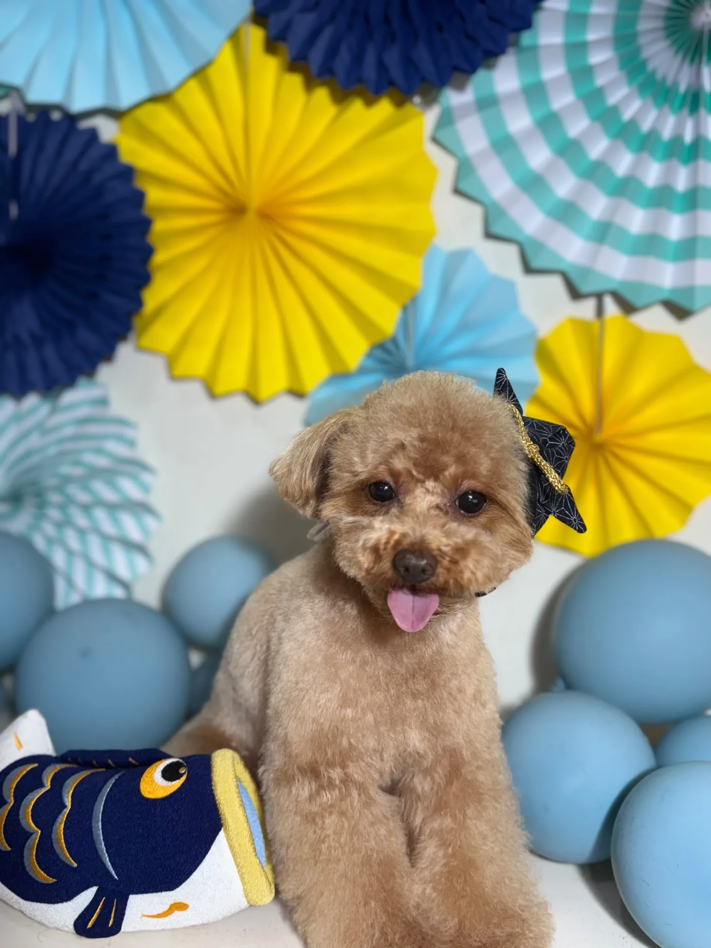 ビジューちゃん