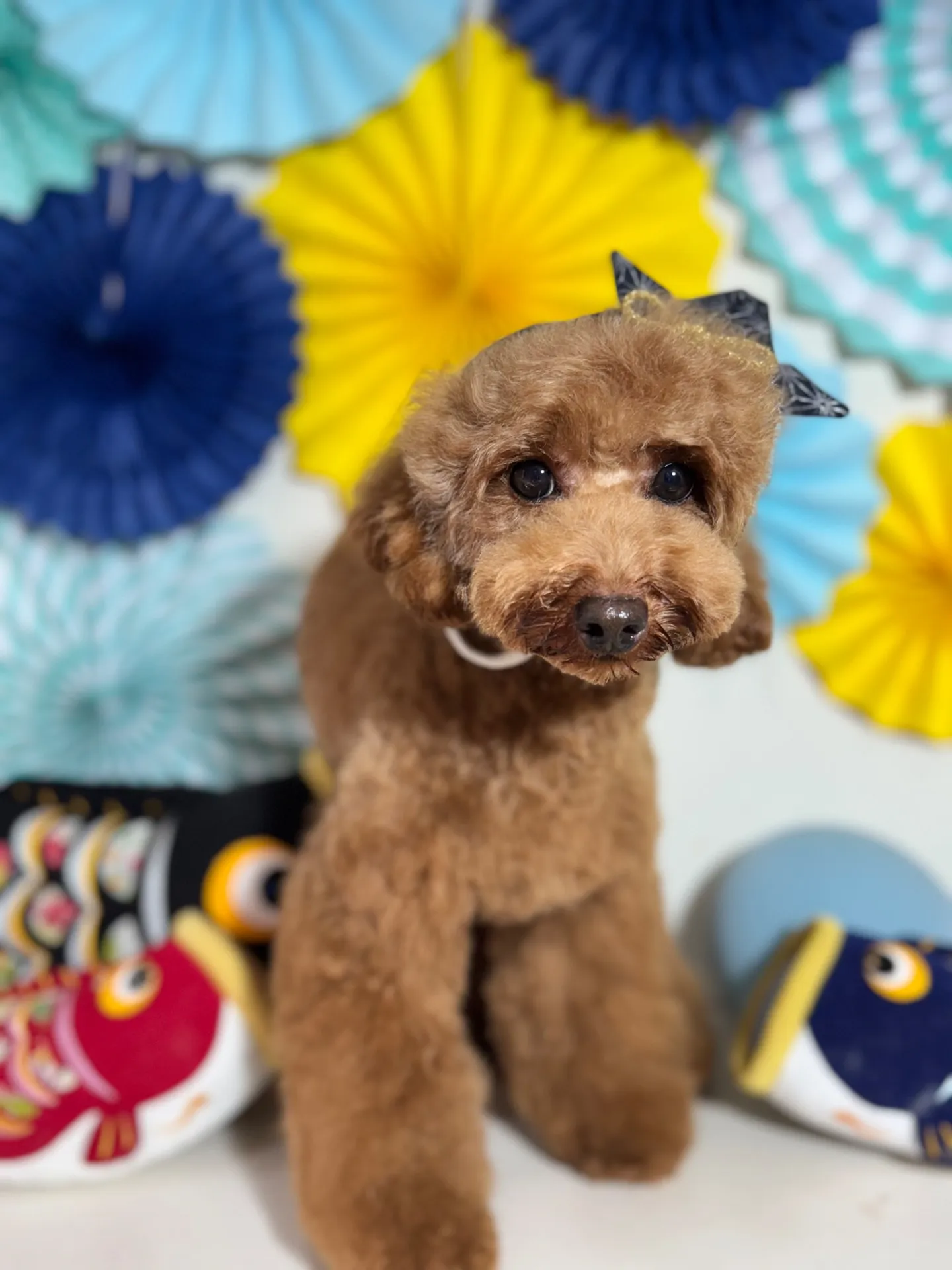 ティガーちゃん