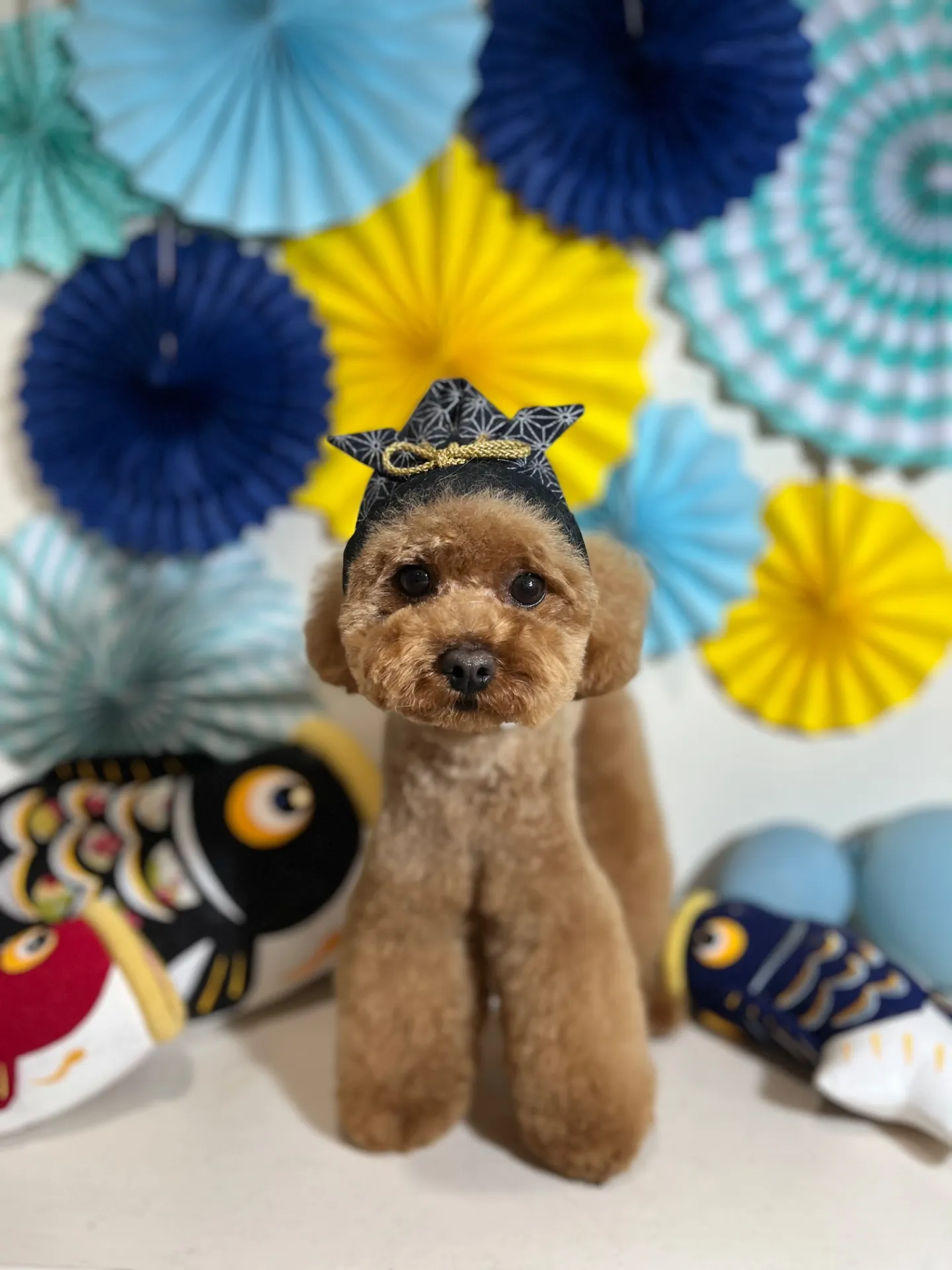 ちゃちゃまるくん