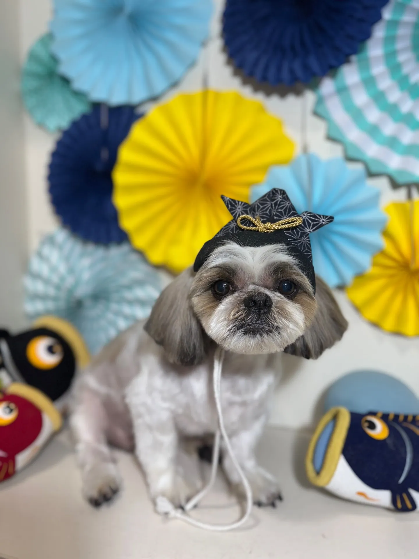 モモタロウくん