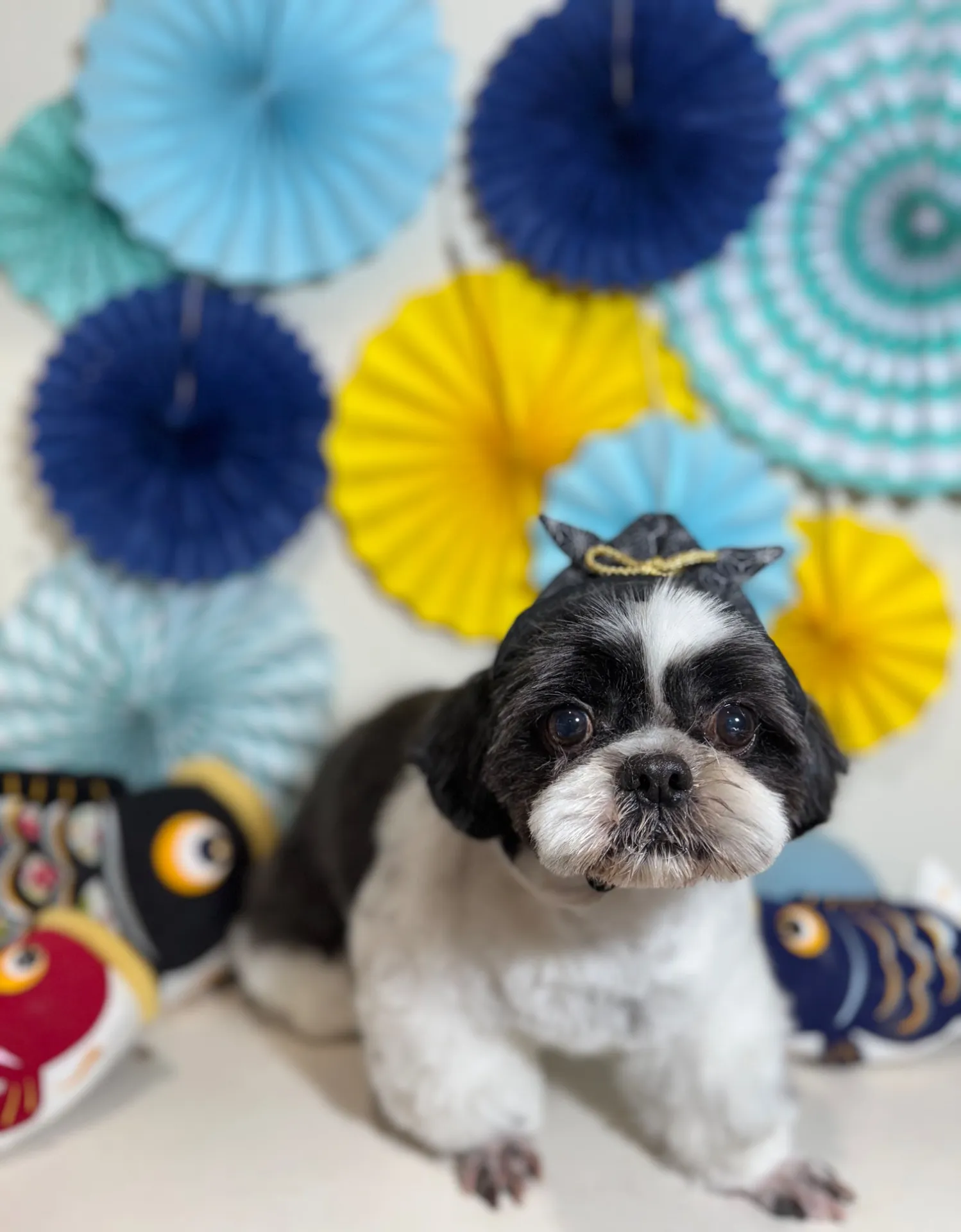 アイノスケくん