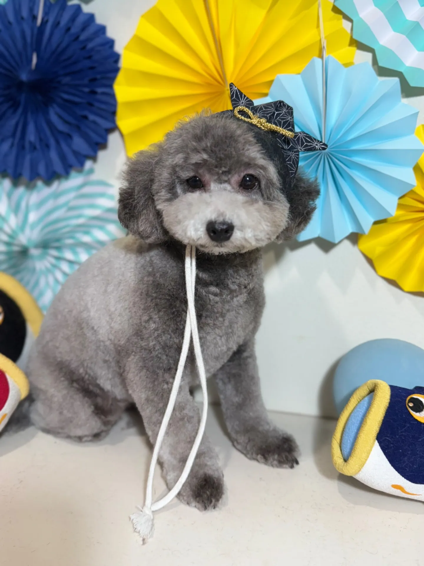 ギンナンちゃん