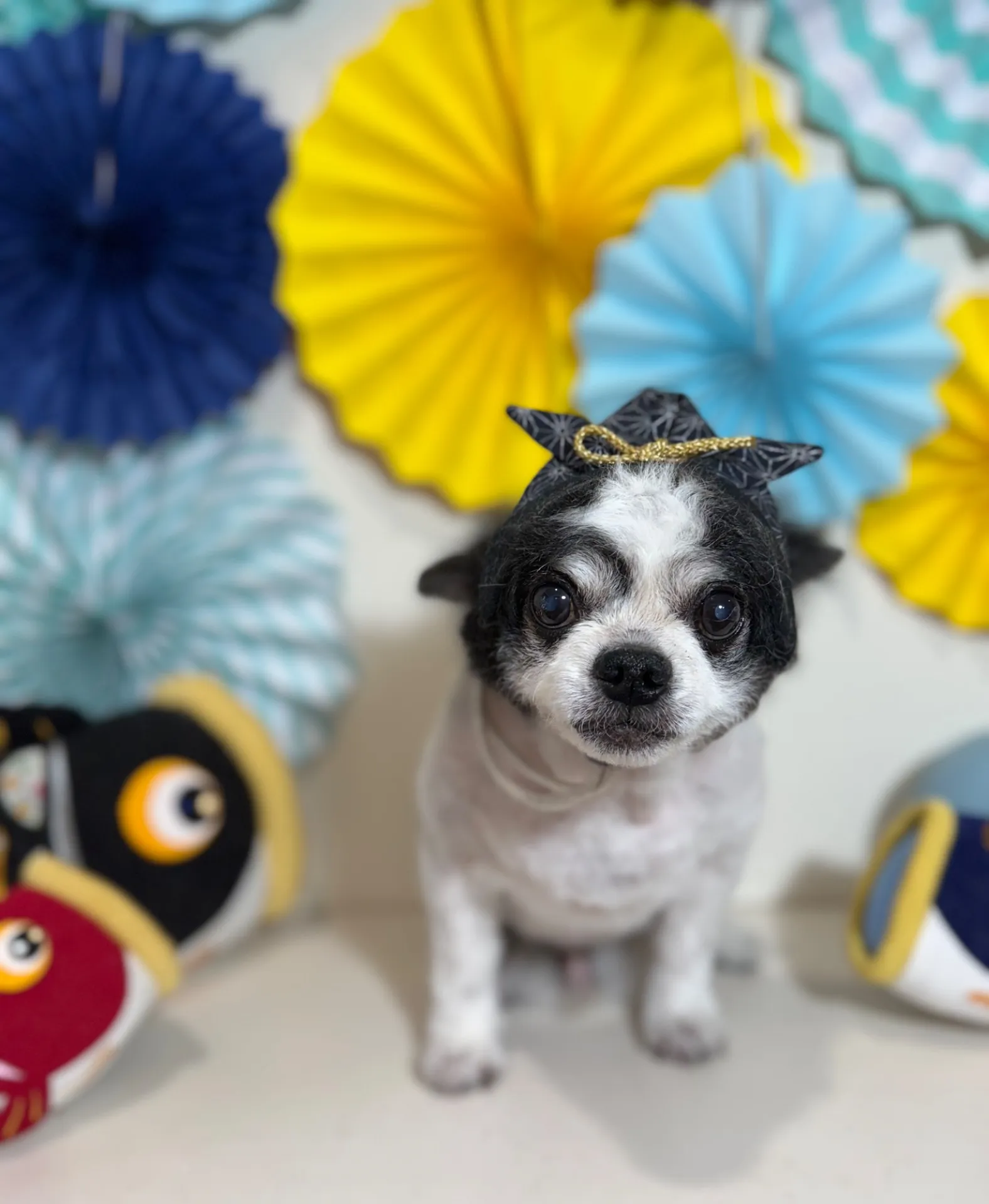 モコタロウくん