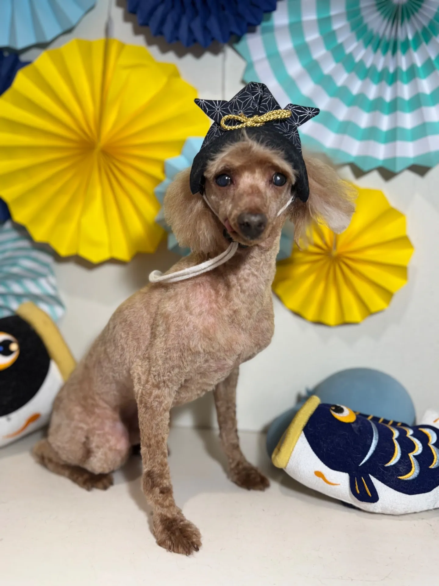 クッキーちゃん