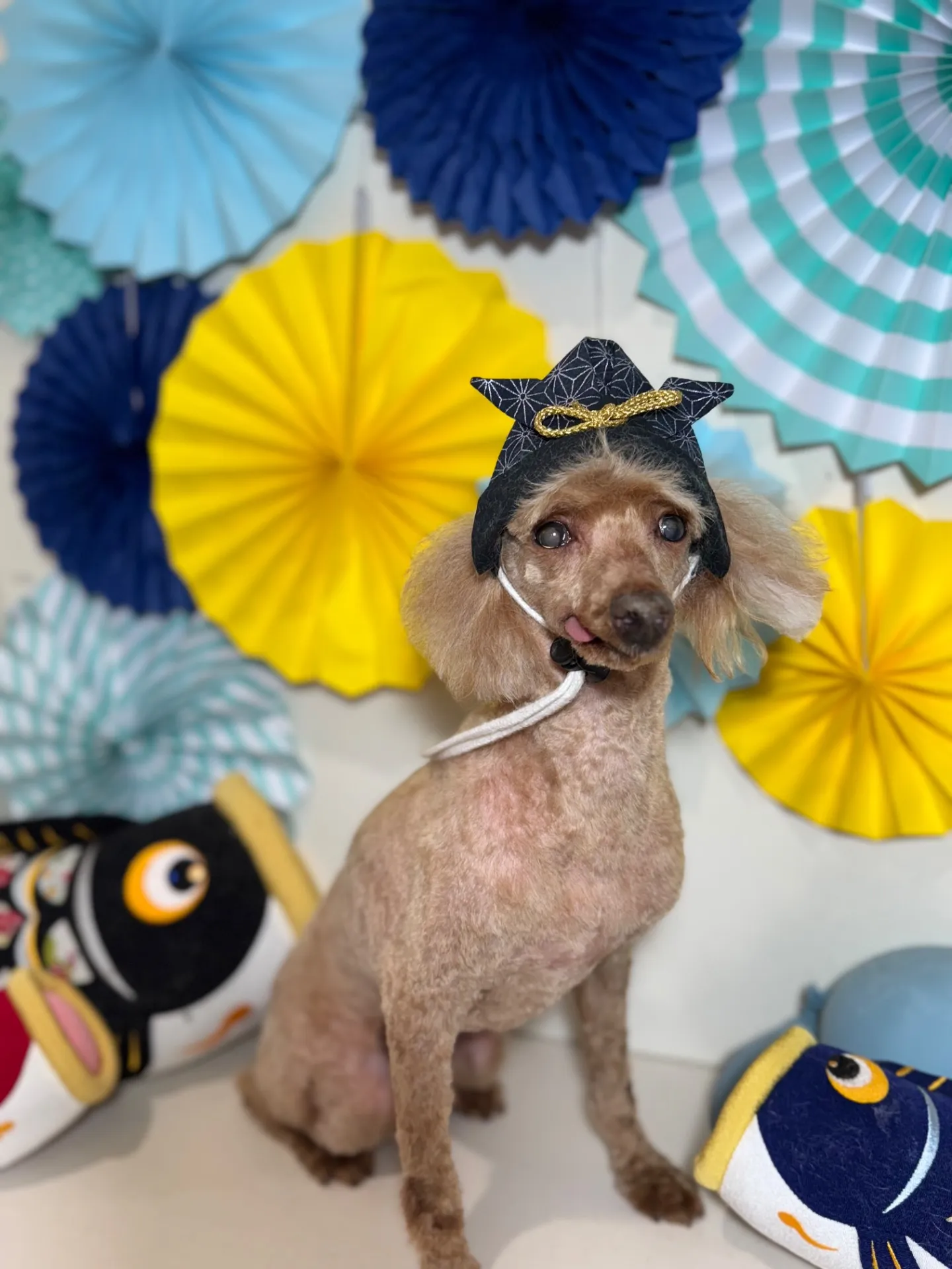 クッキーちゃん