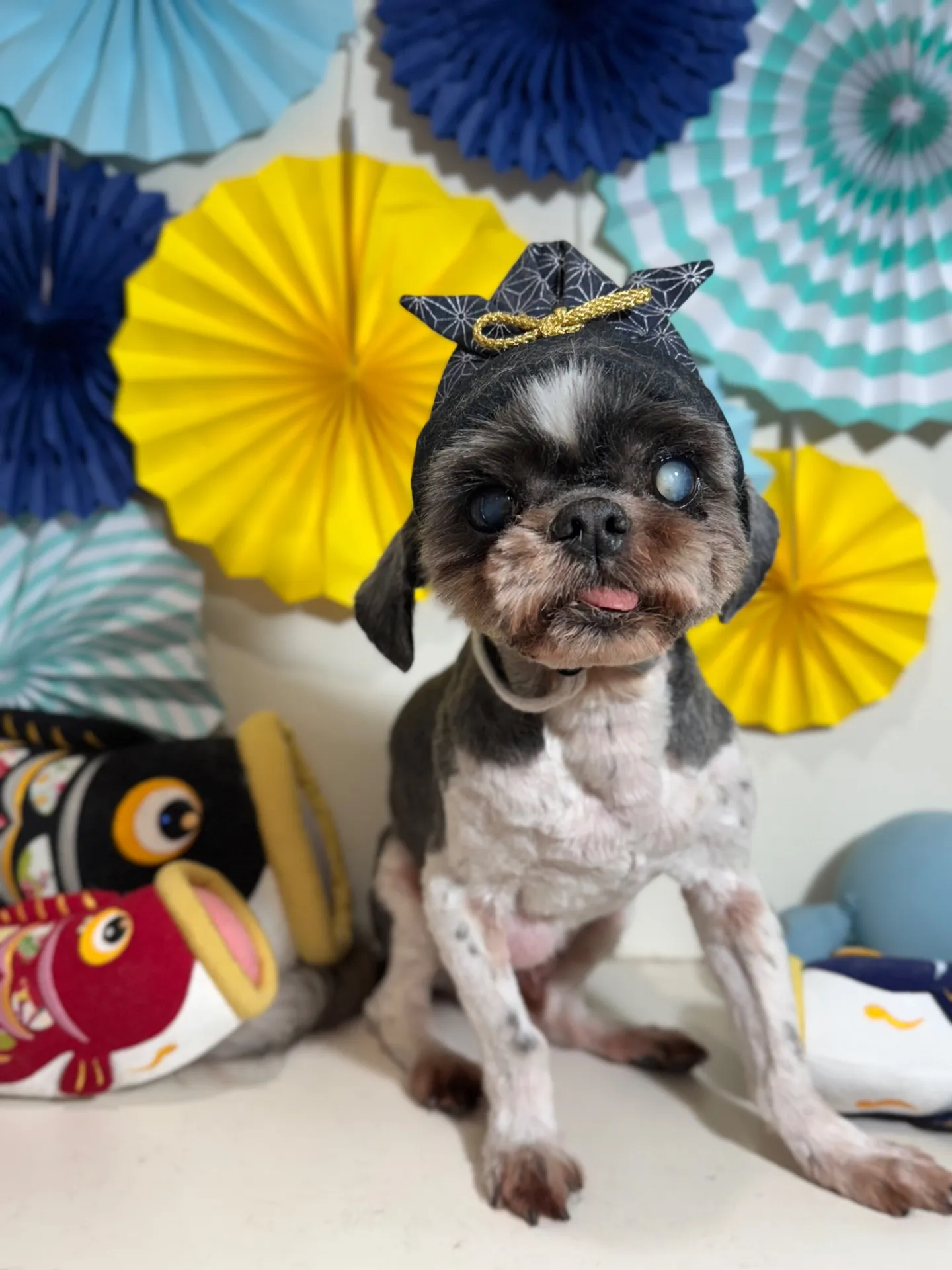 リュウセイくん