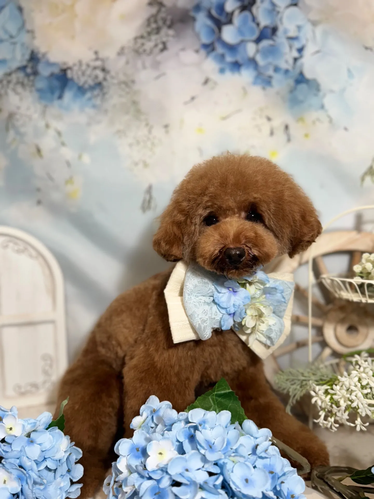 ティガーちゃん