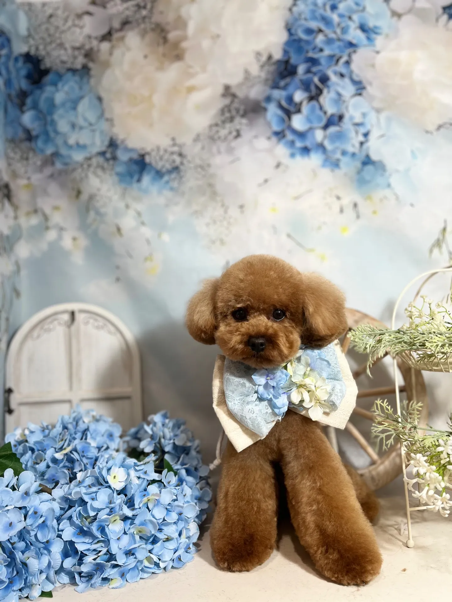 ちゃちゃまるくん