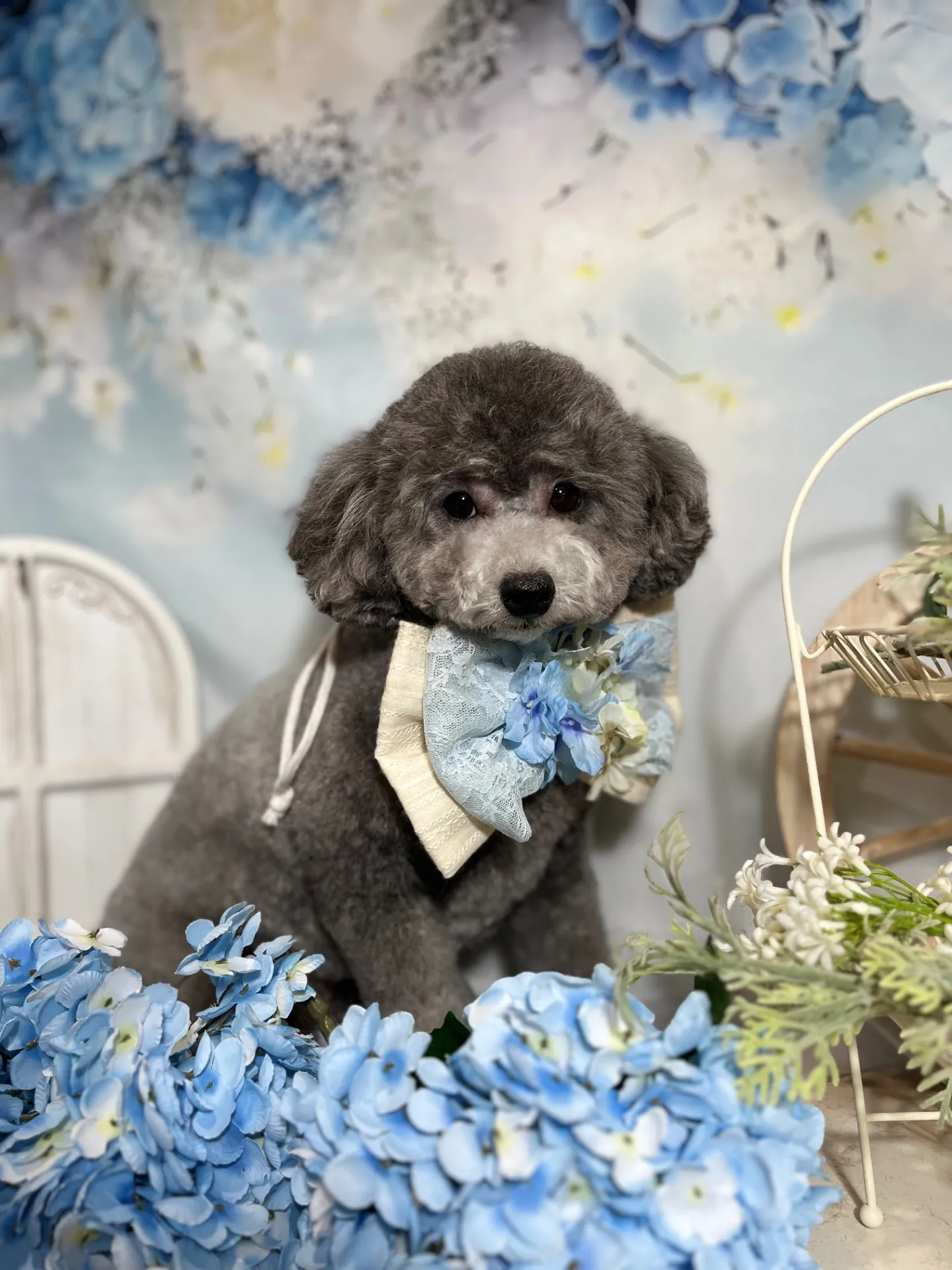 ギンナンちゃん