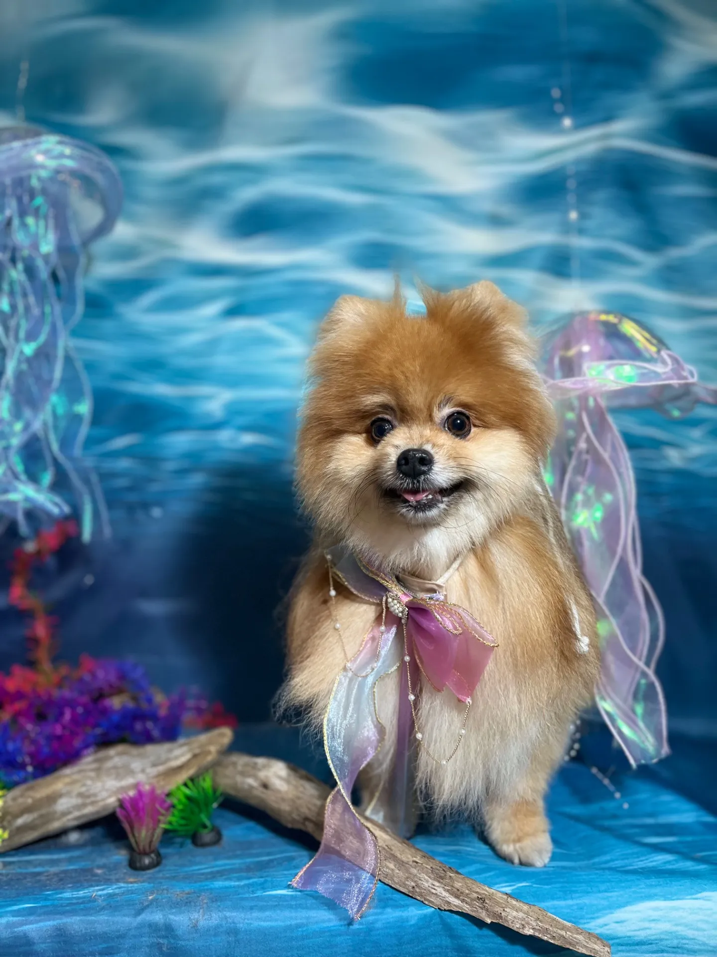 ジョウタロウくん