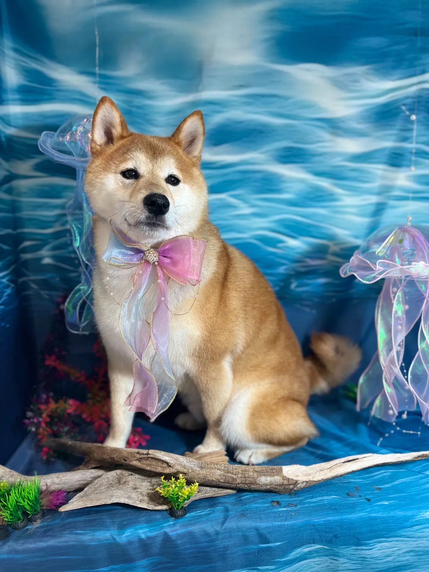 クンクンちゃん