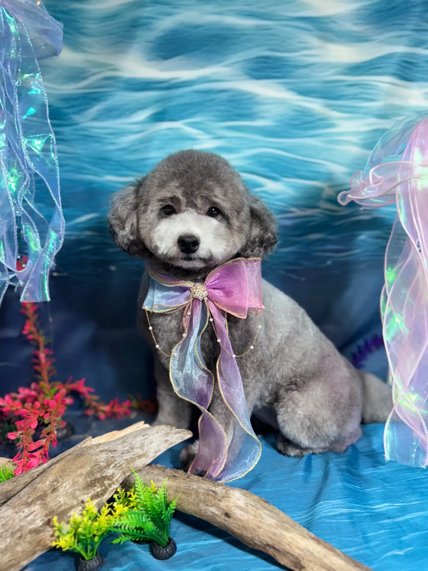 ギンナンちゃん