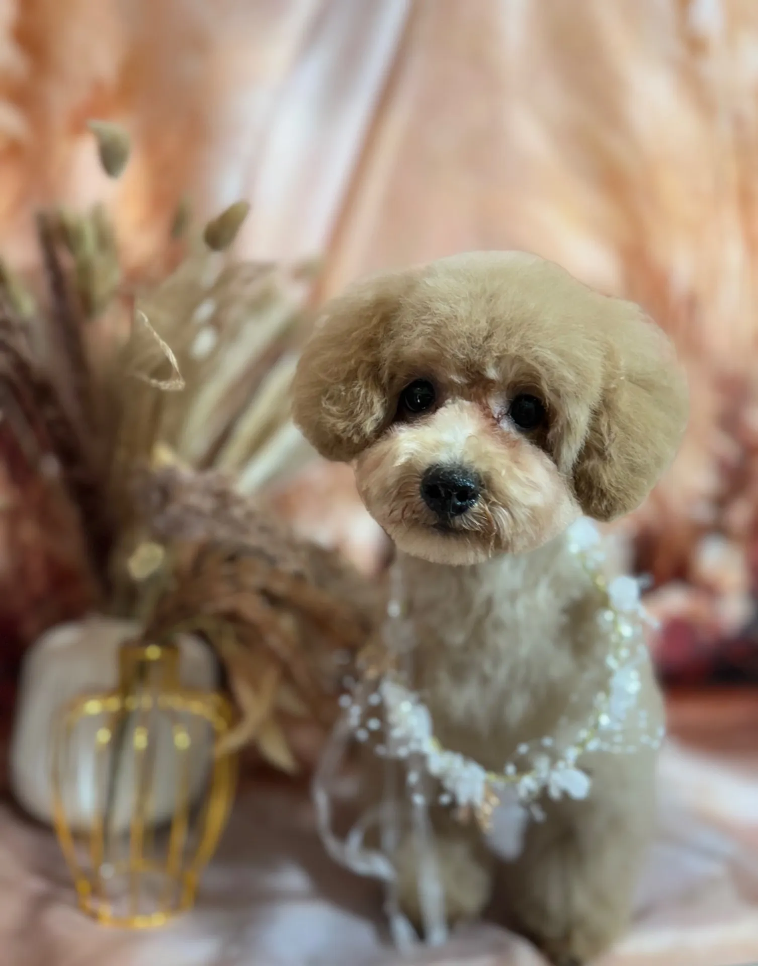 ポテマルちゃん