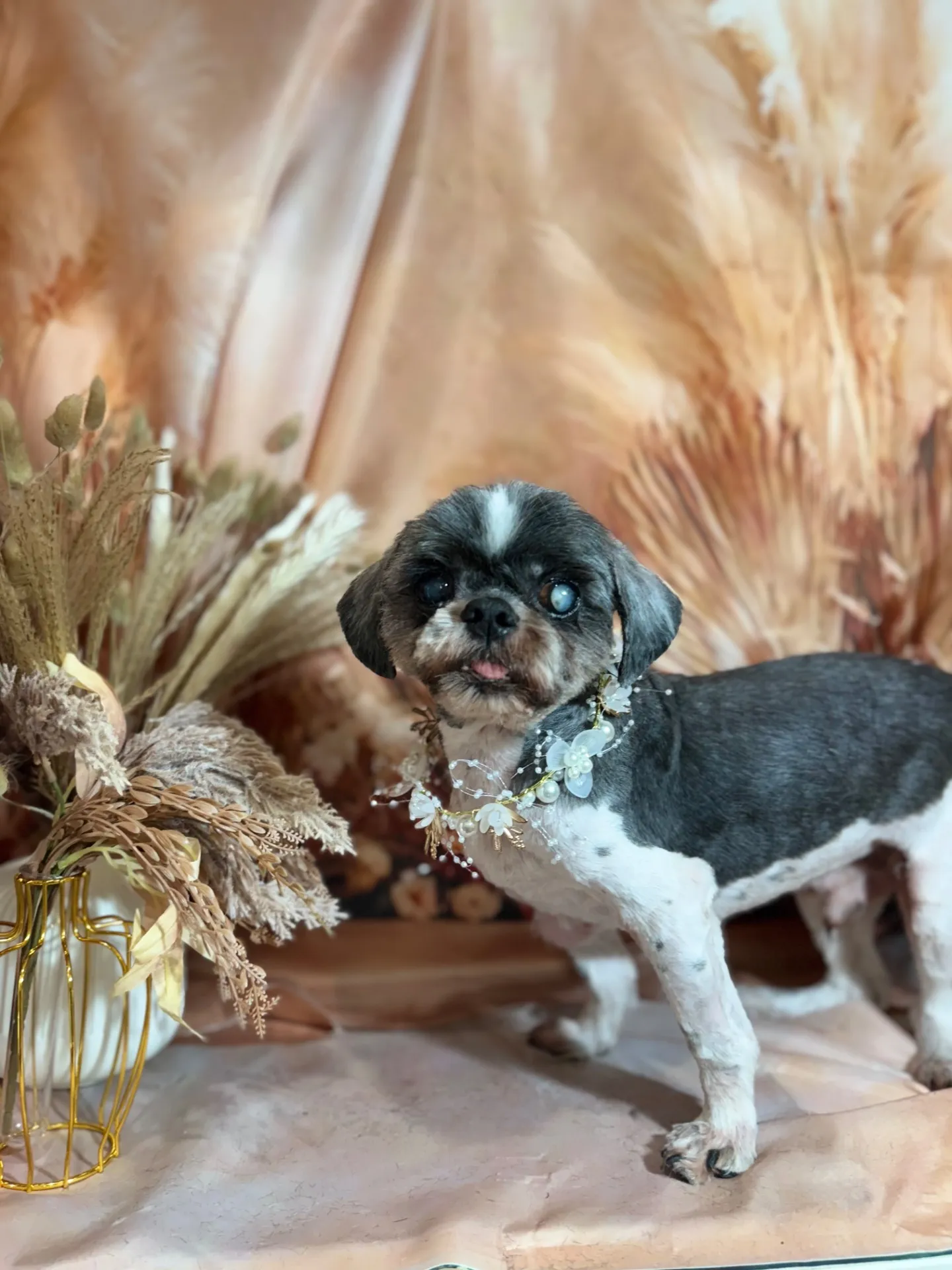 リュウセイくん