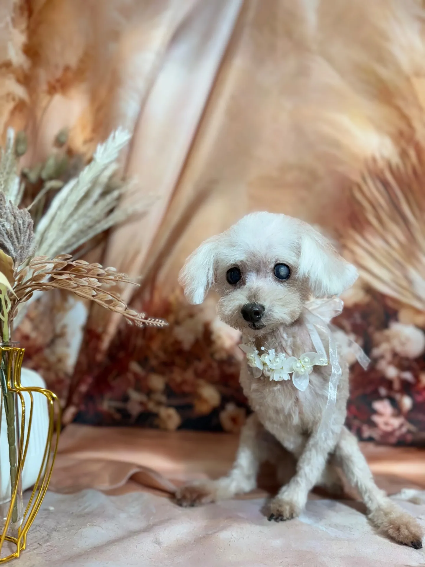 シェリーちゃん