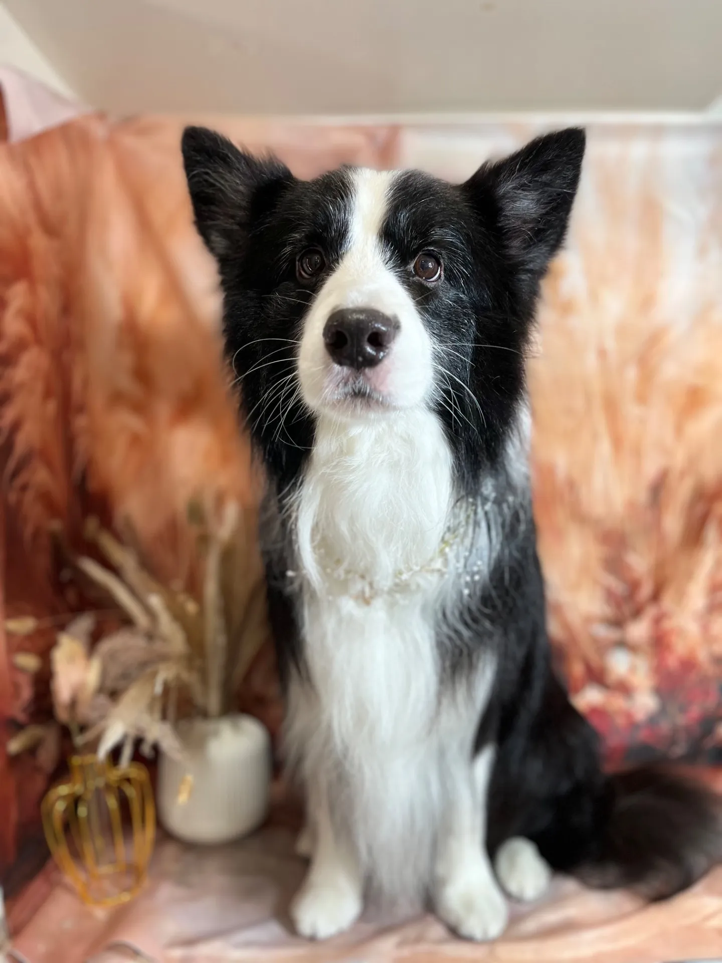 ウォルターくん