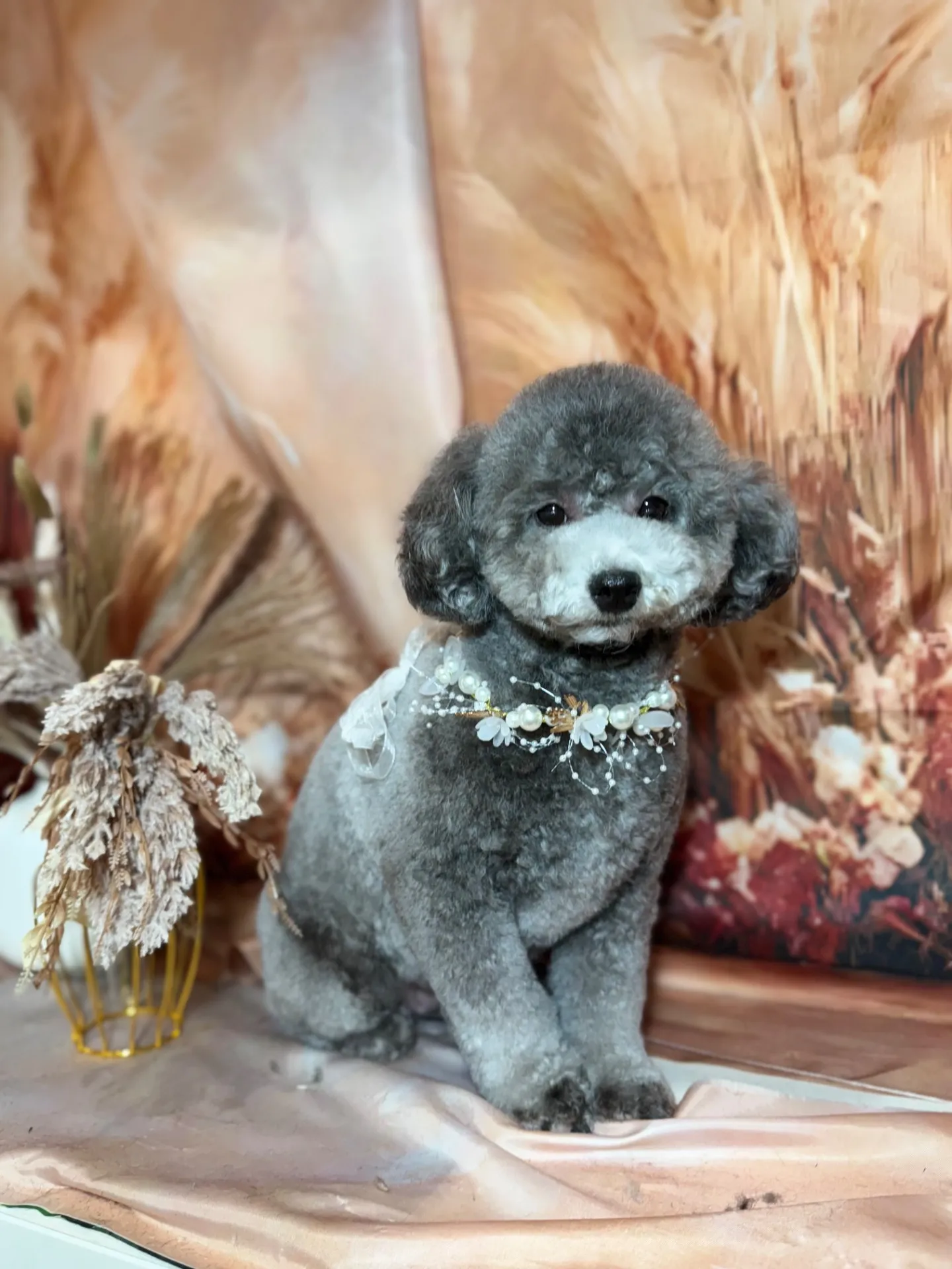 ギンナンちゃん