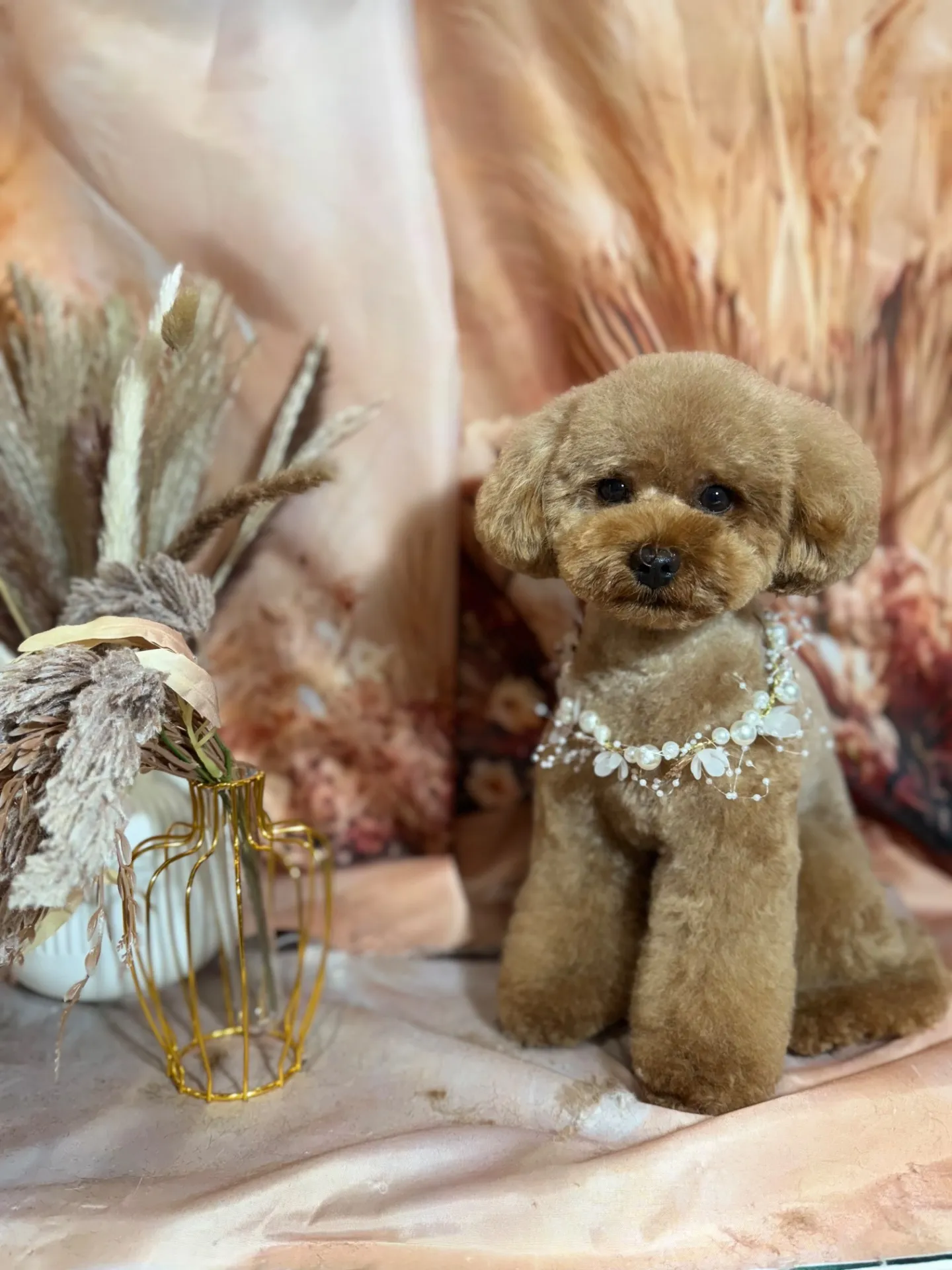 チャチャマルくん