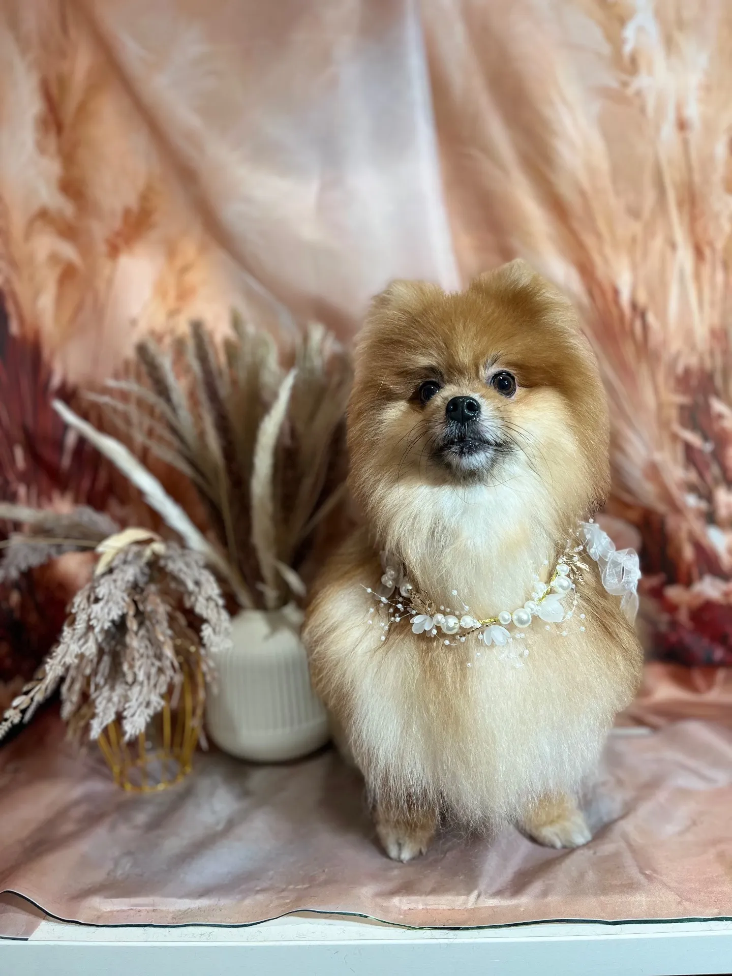 ジョウタロウくん