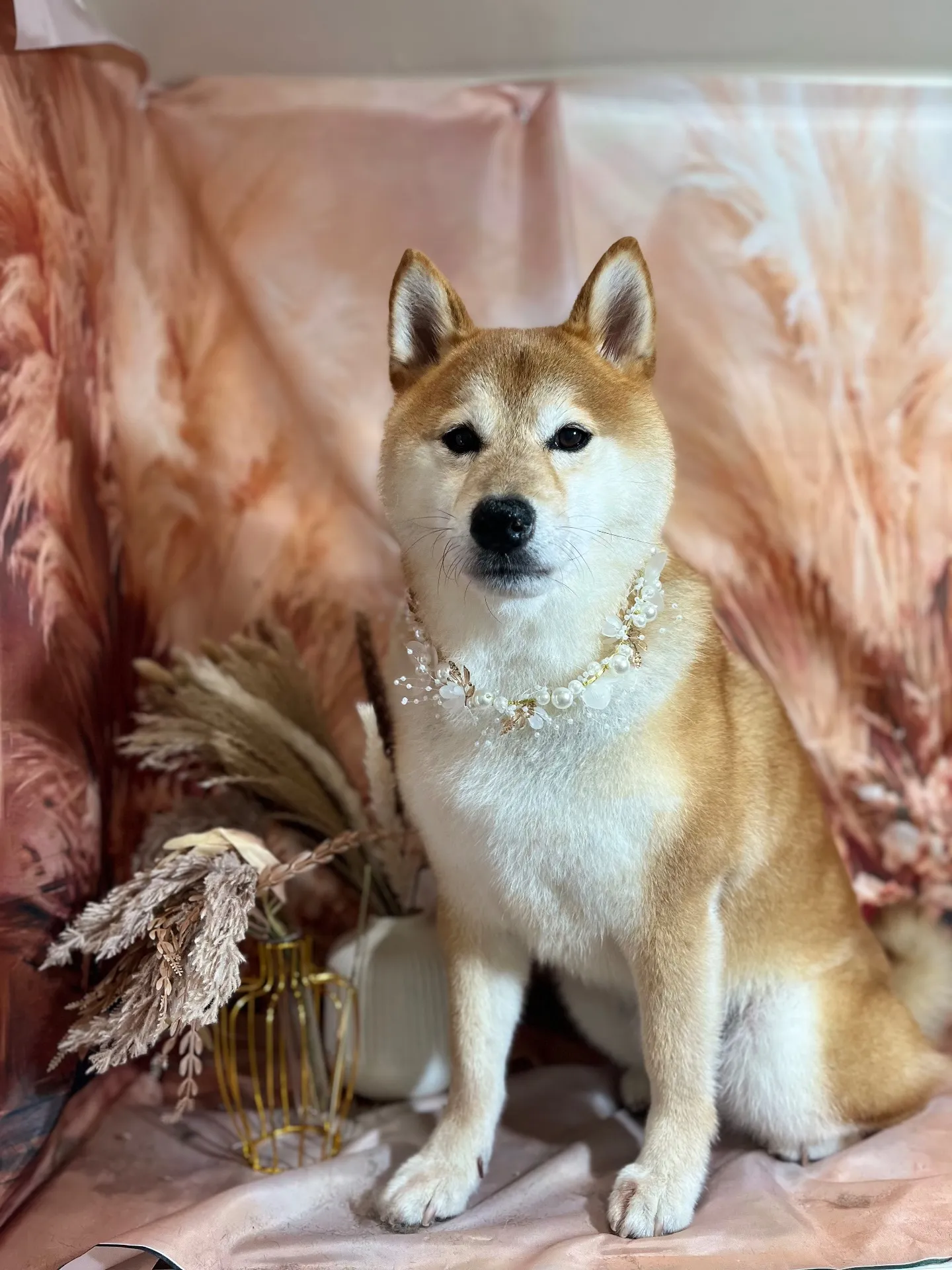 クンクンちゃん