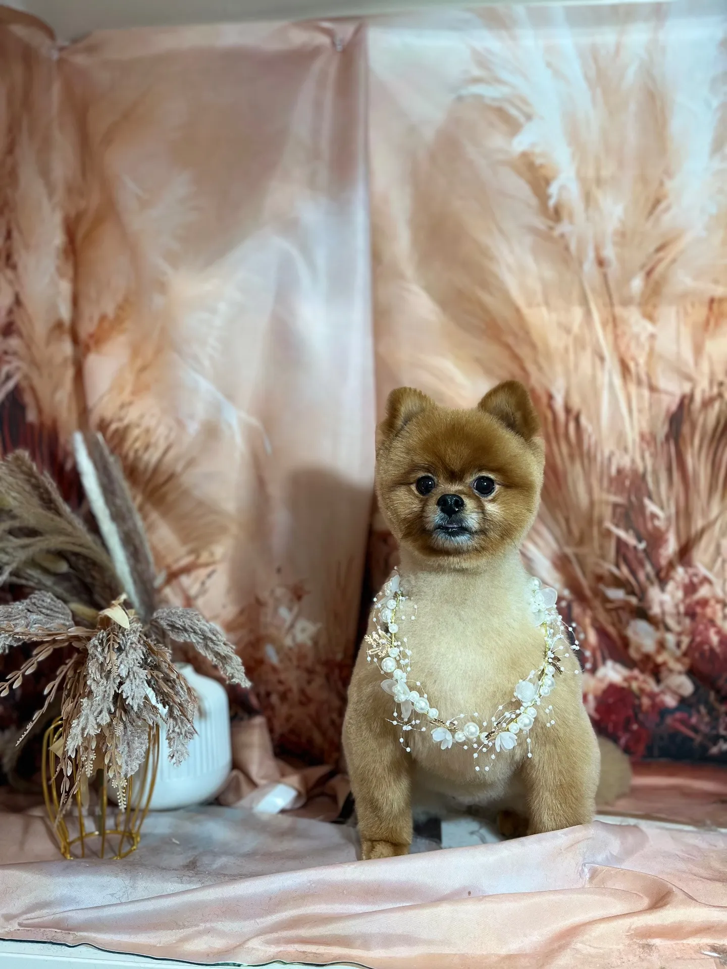 ショコラちゃん