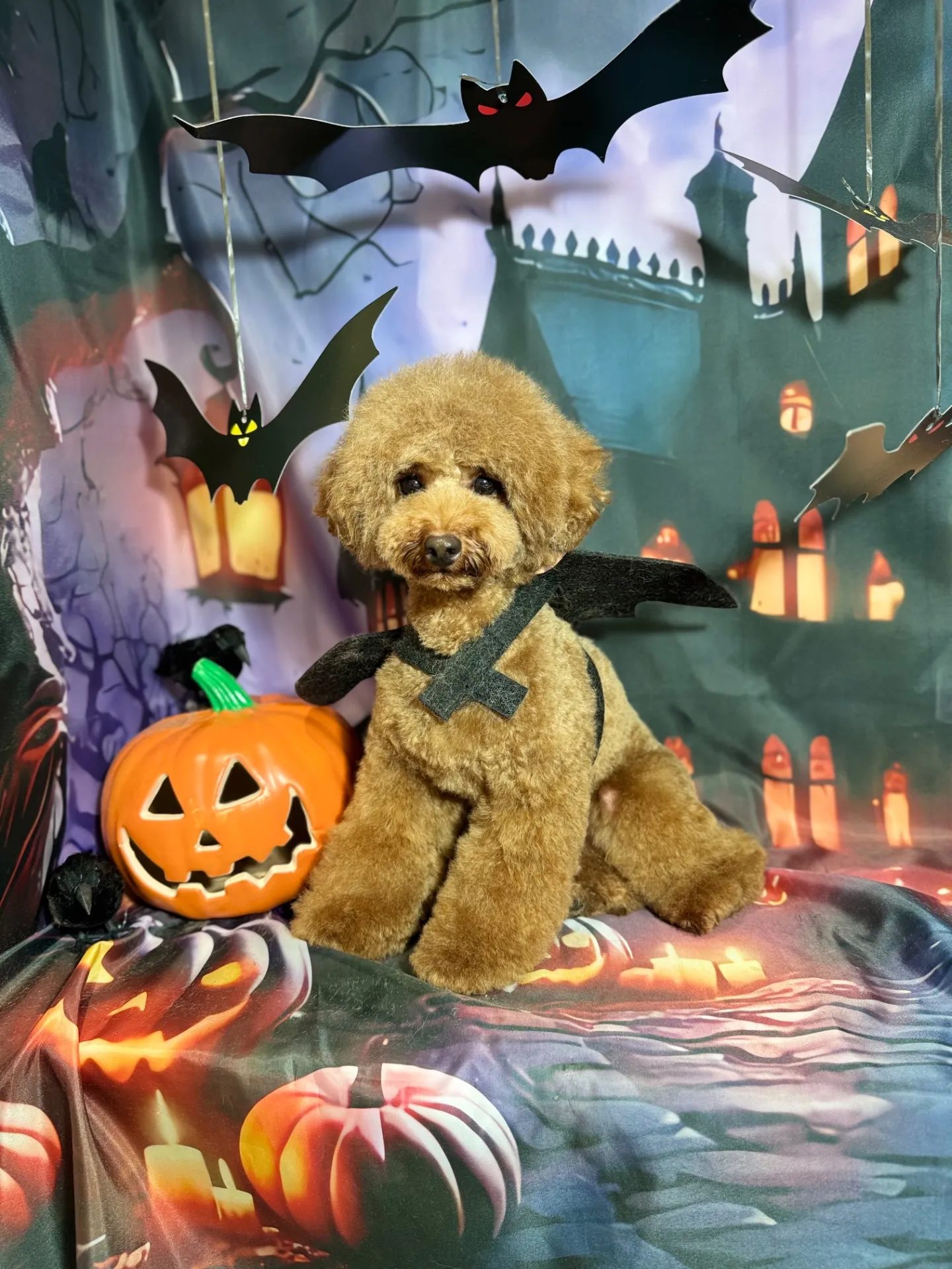 ティガーちゃん