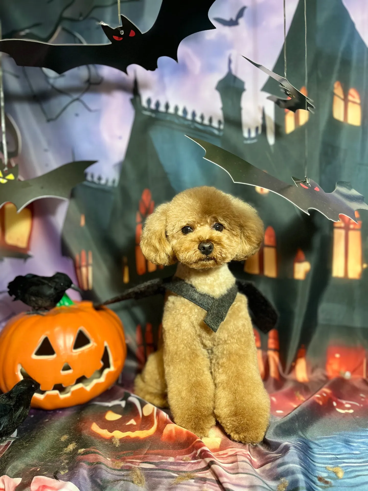 ちゃちゃまるくん