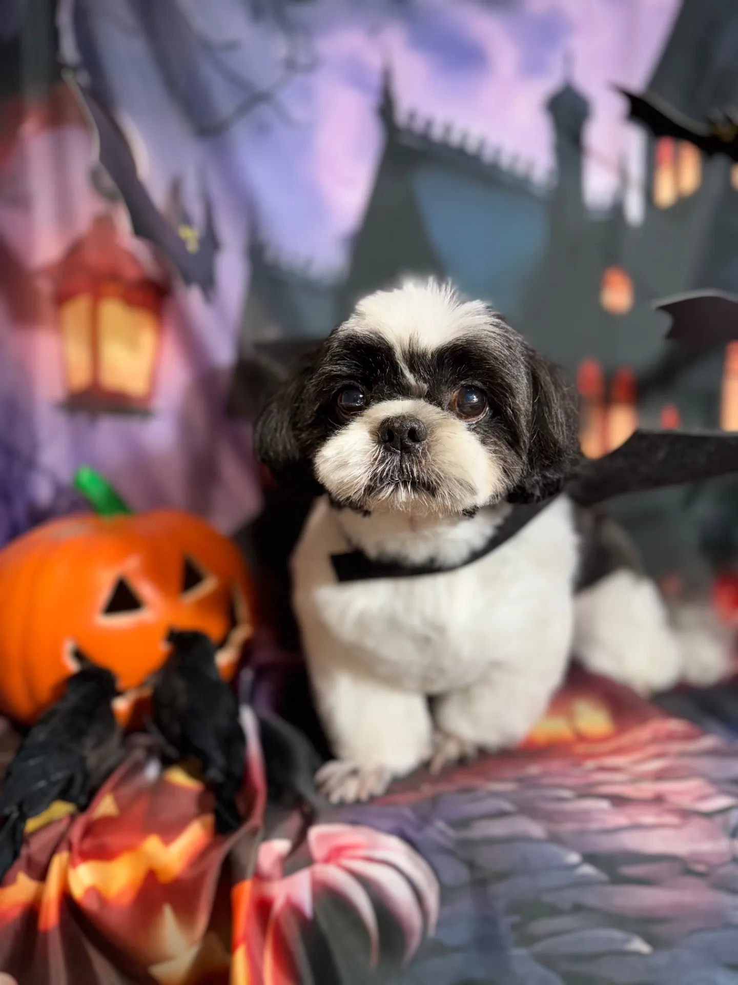 アイノスケくん