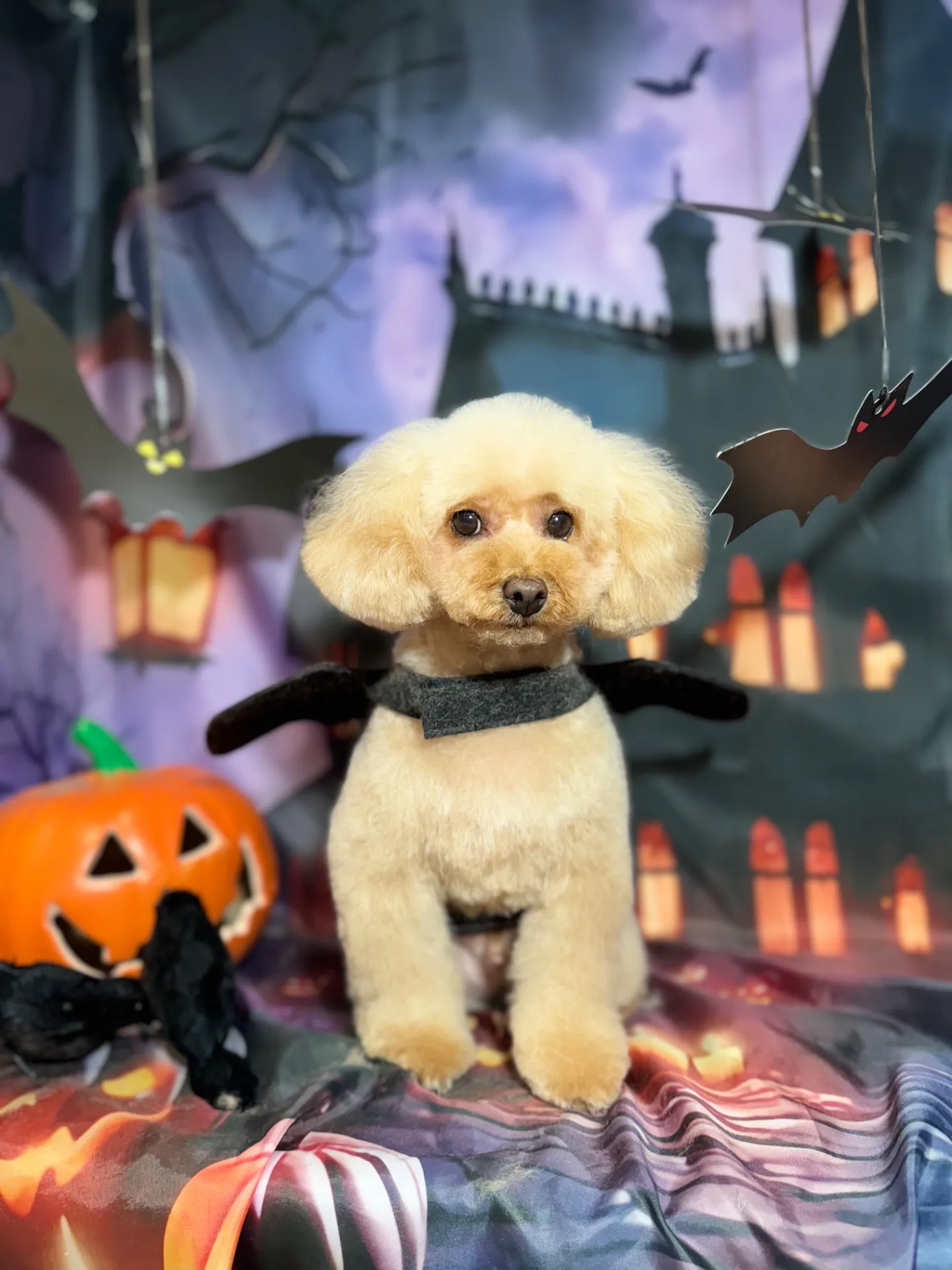 ラルフィちゃん