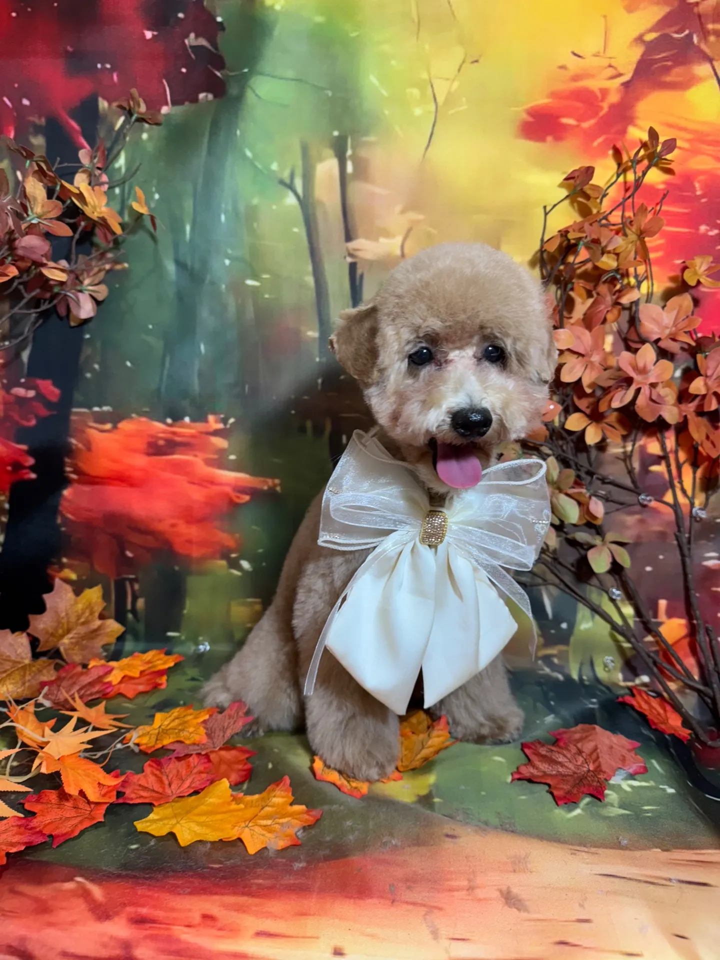 ポテマルちゃん