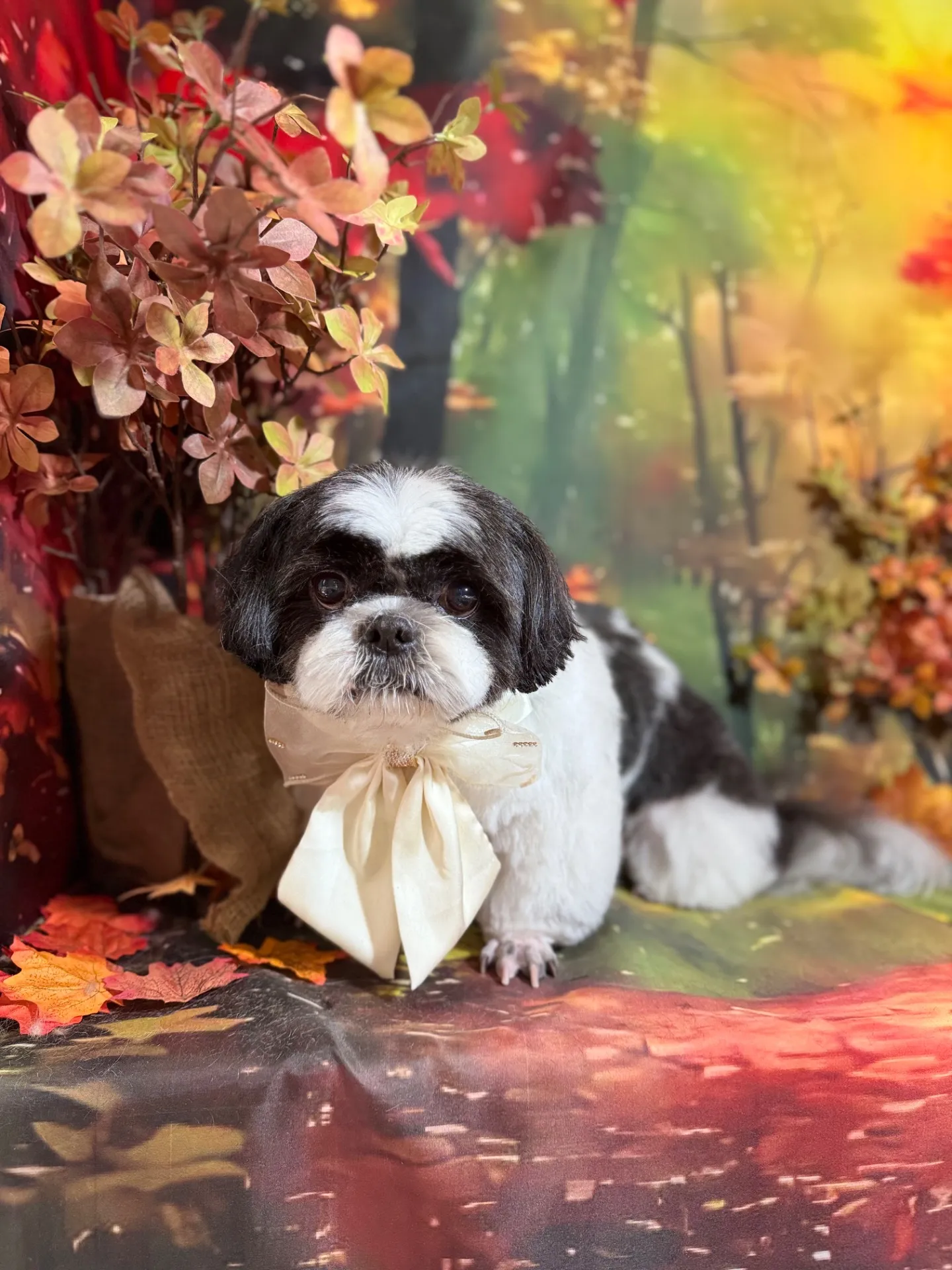 アイノスケくん