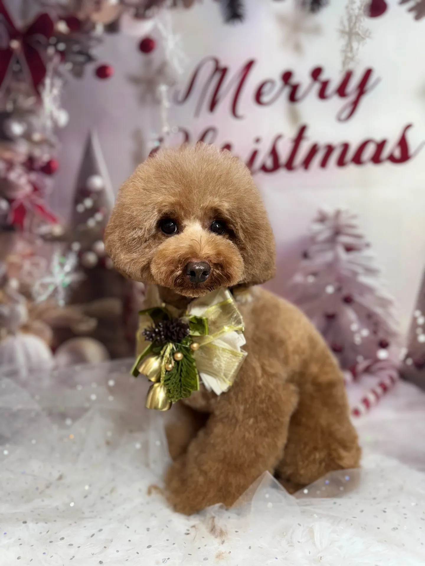 ティガーちゃん