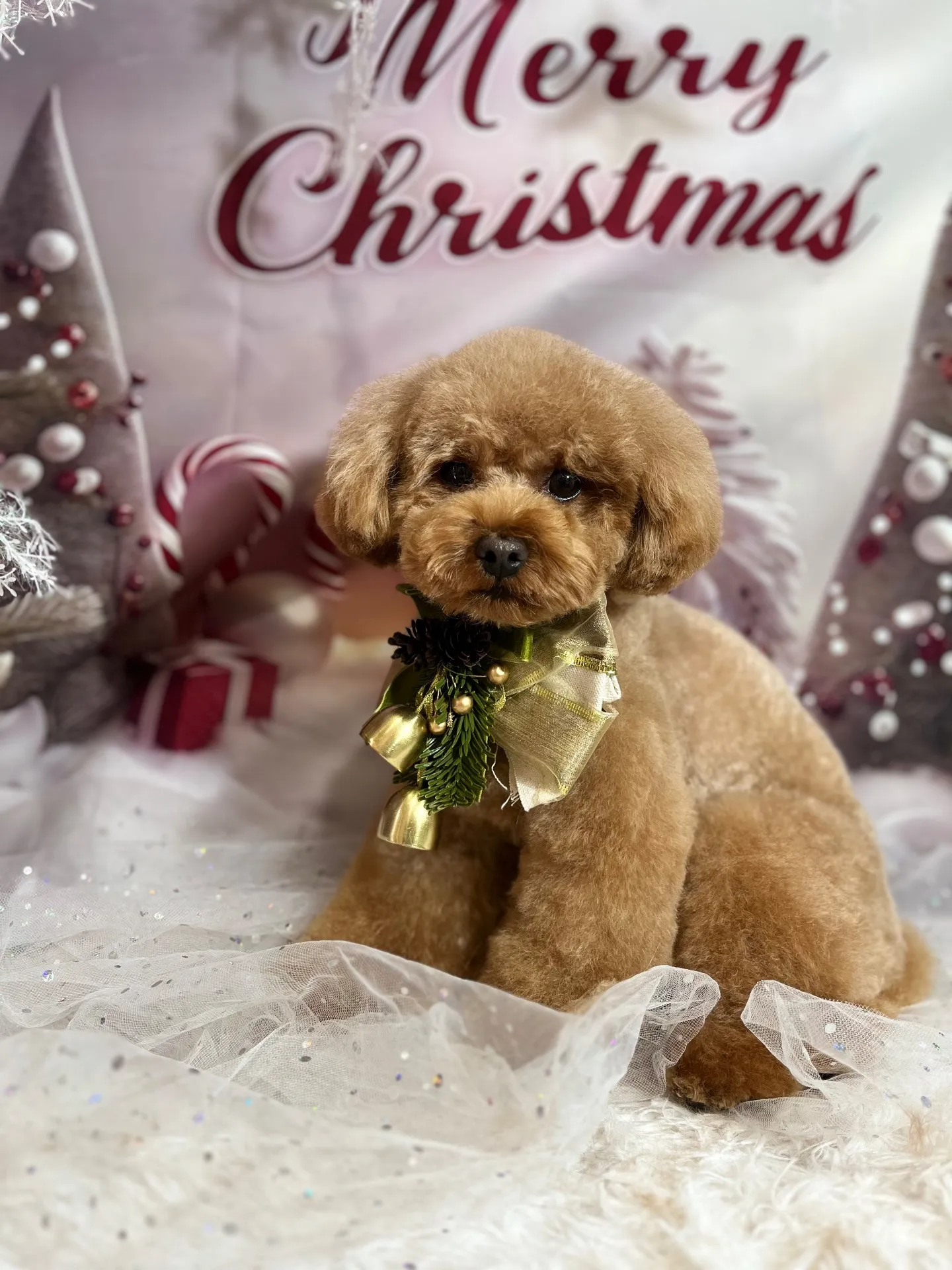 ちゃちゃまるくん