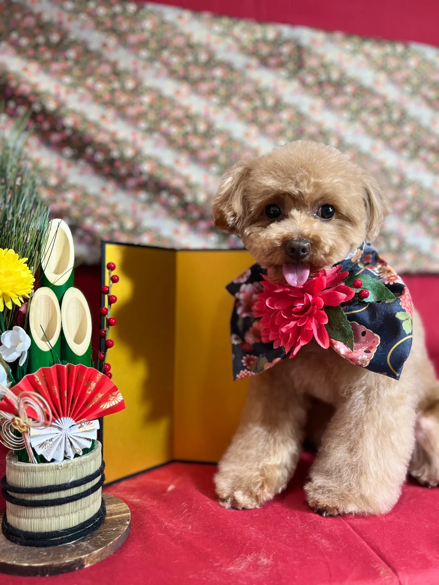 ビジューちゃん