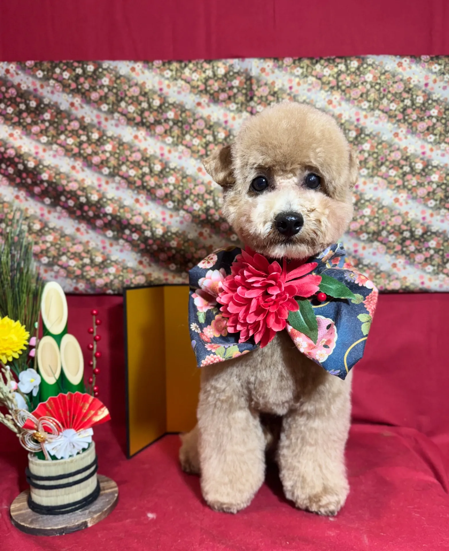 ポテマルちゃん