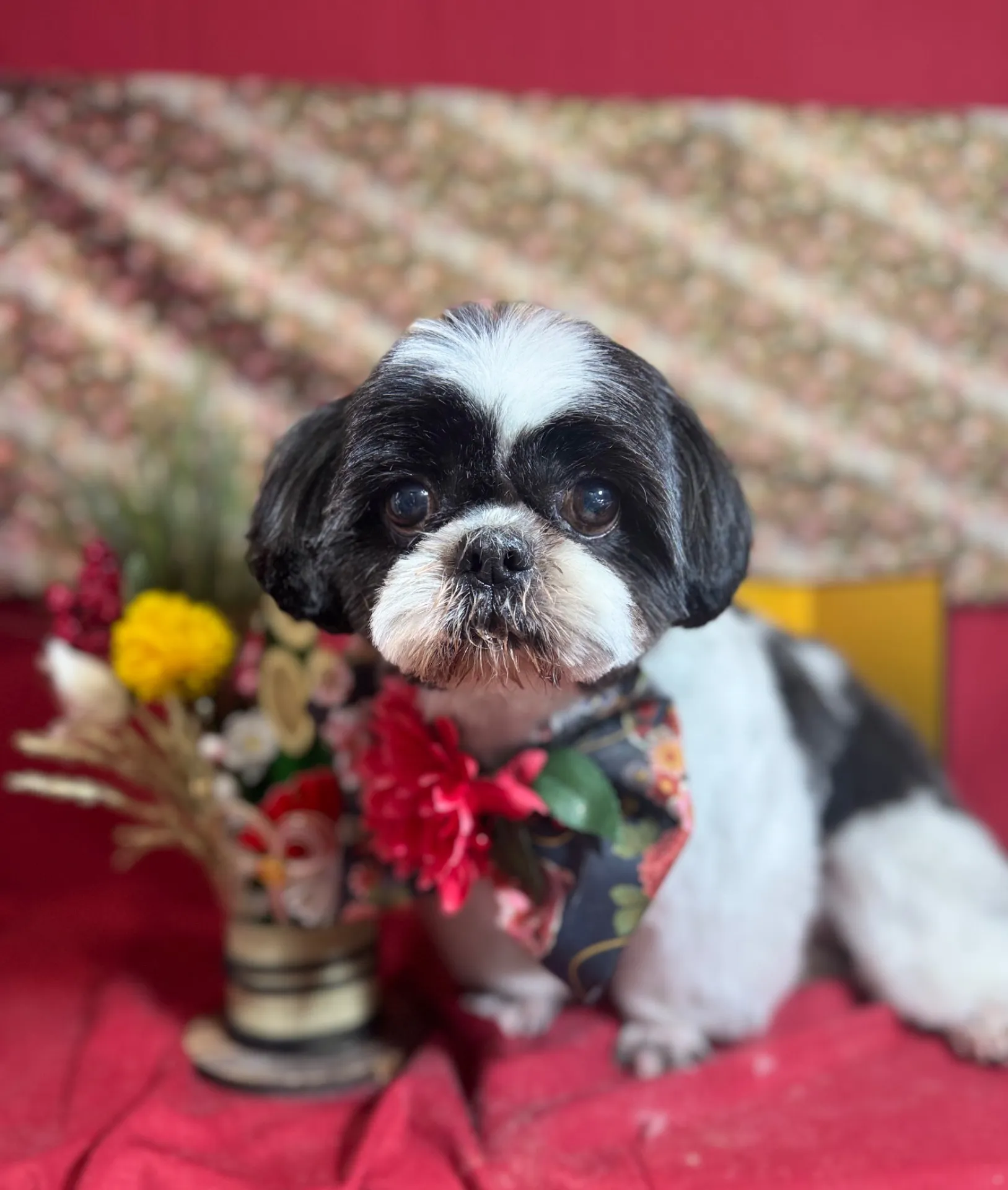 アイノスケくん