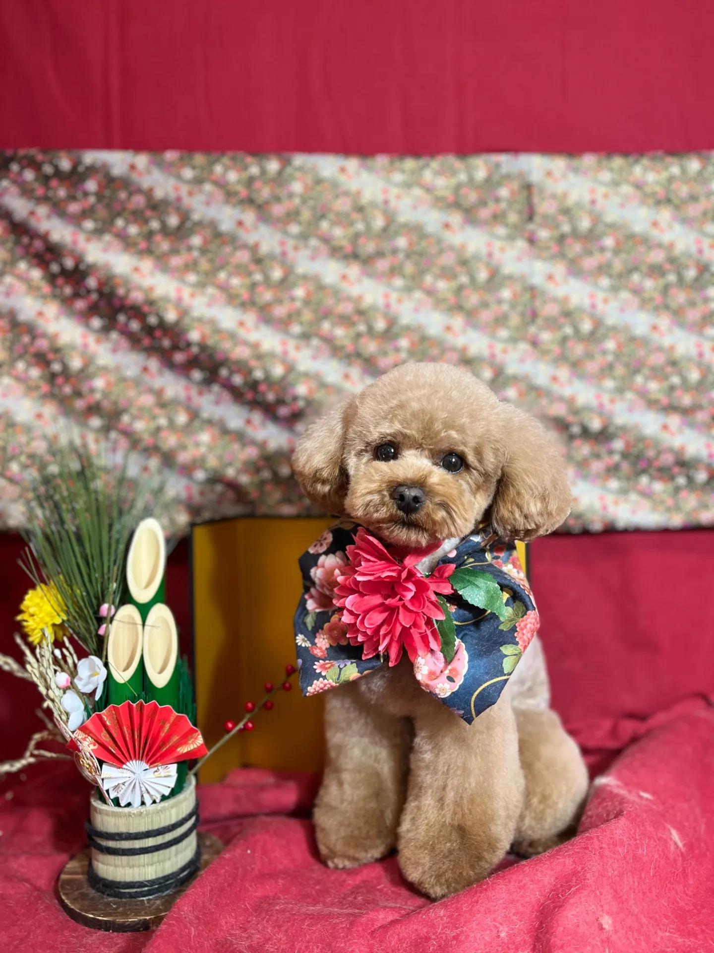 チャチャマルくん