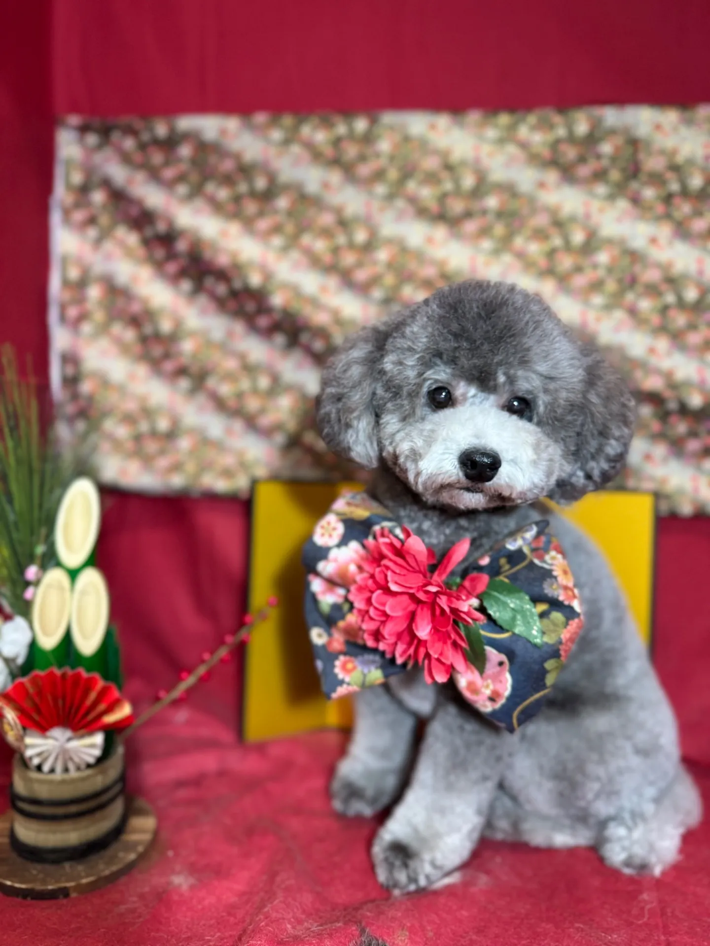 ギンナンちゃん