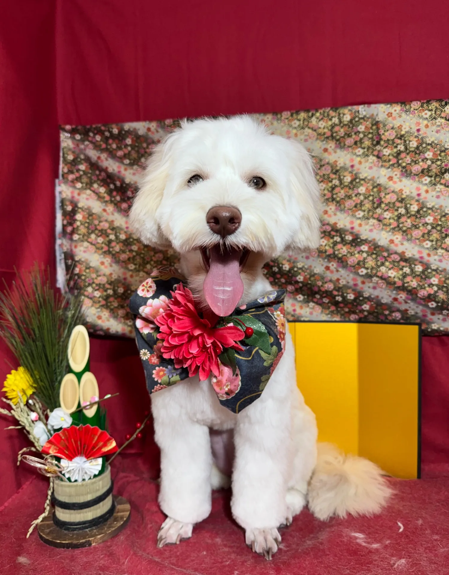 ヴィットーリアちゃん