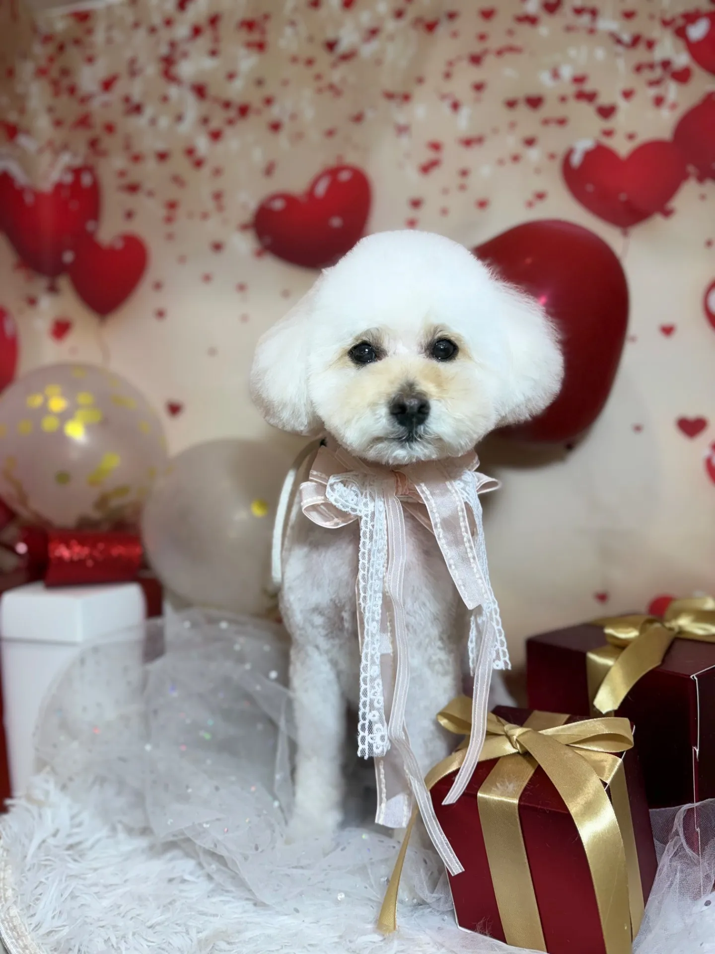 シナモンちゃん