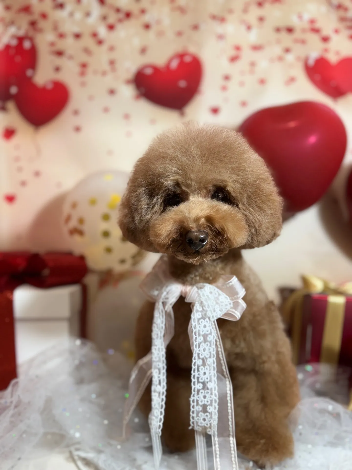 ティガーちゃん