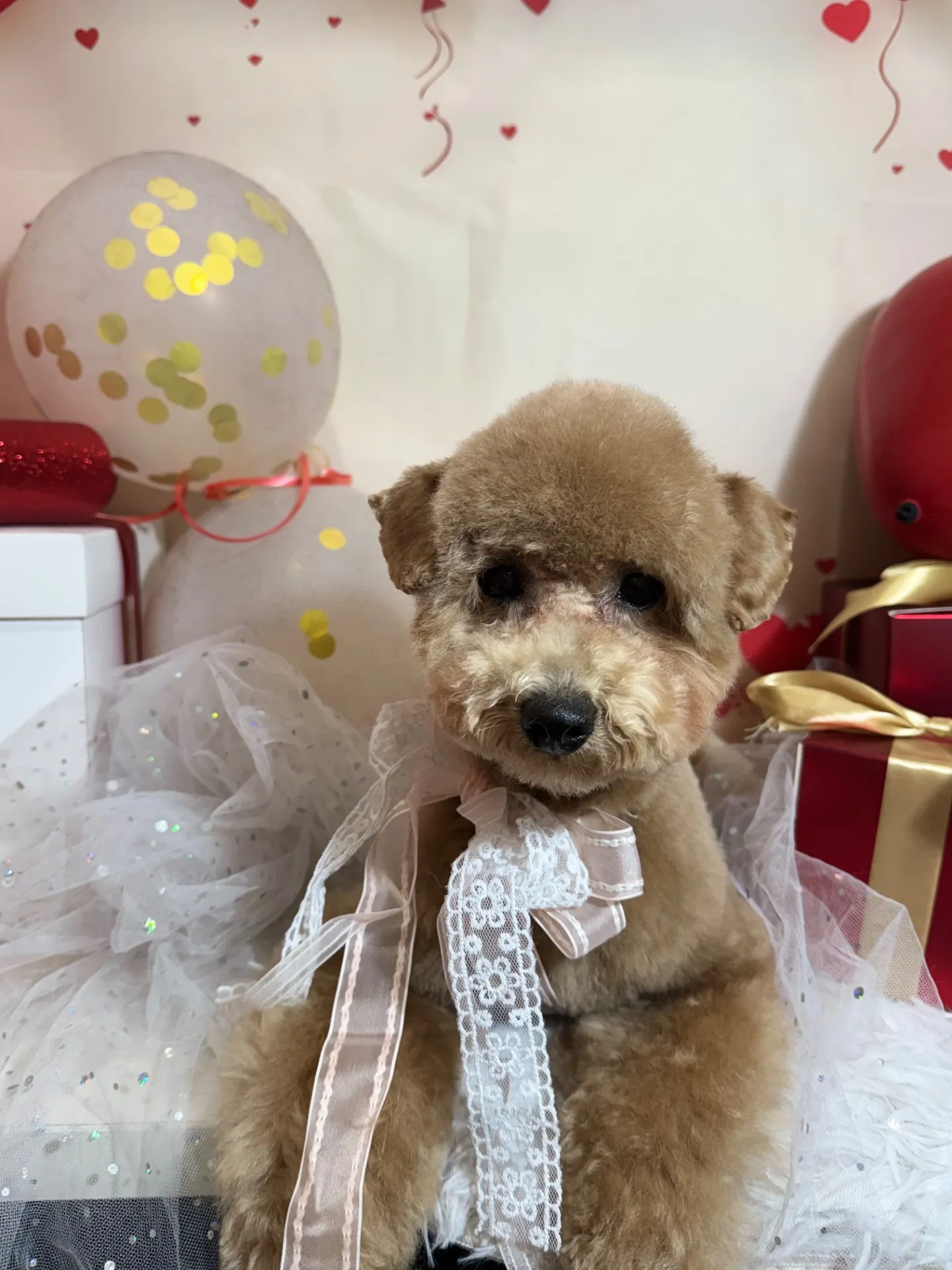 ポテマルちゃん