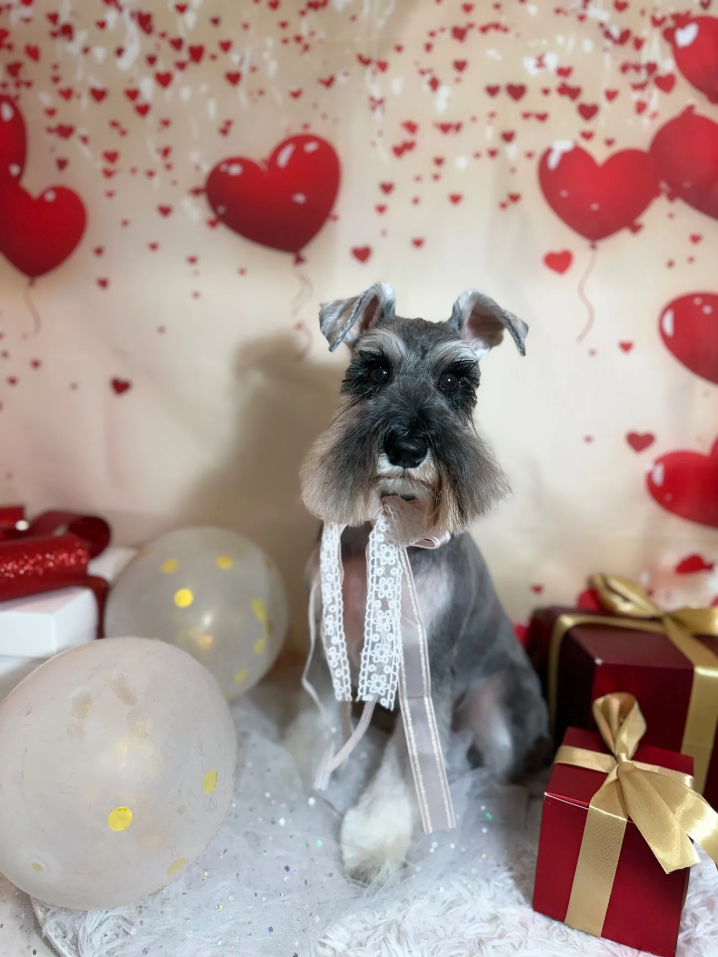 ルドルフちゃん